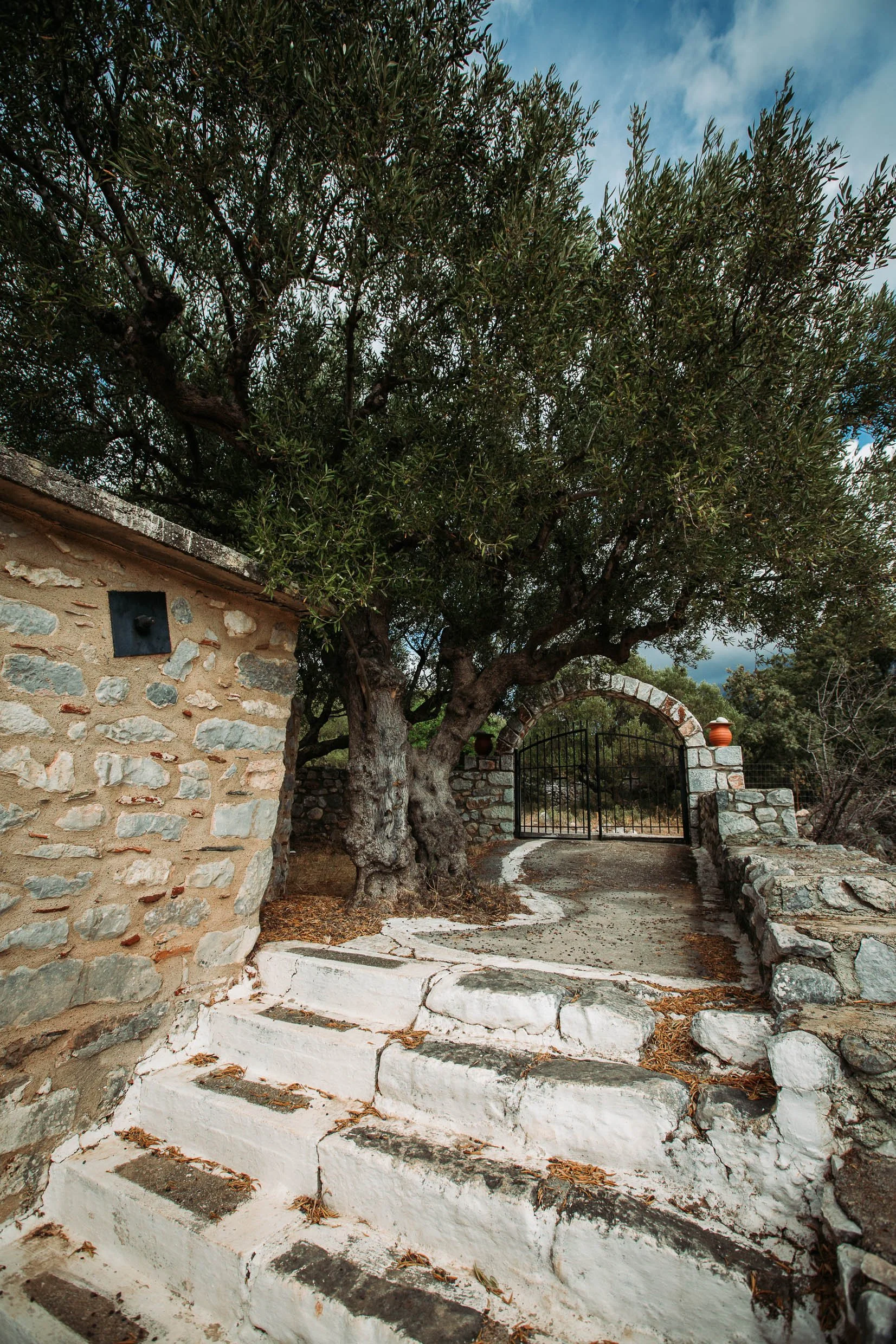 6D9B0262.jpg