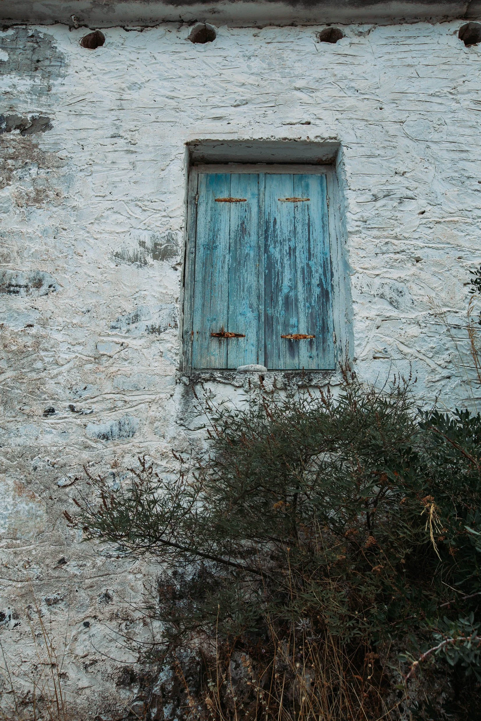 6D9B0295.jpg