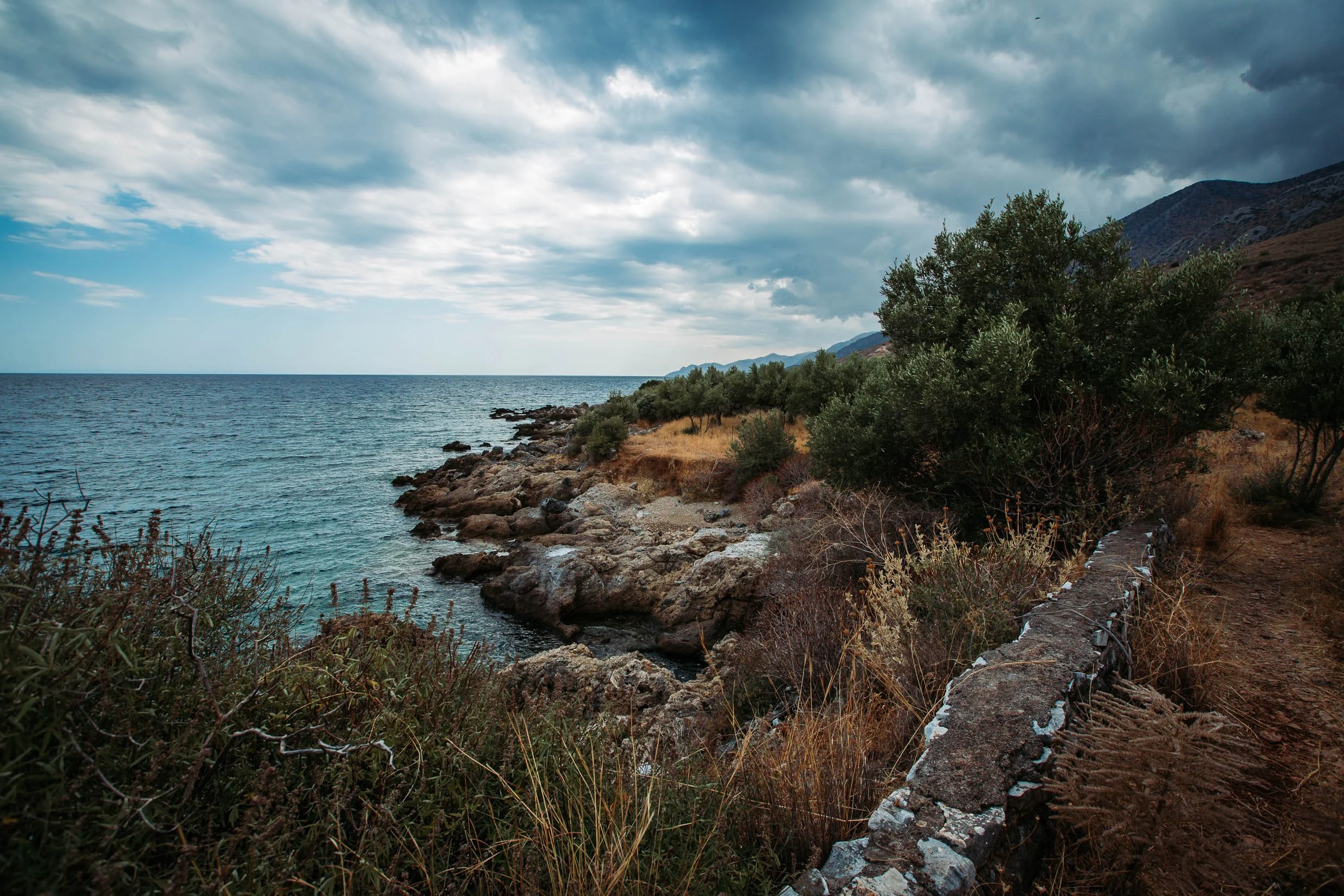 6D9B0319.jpg