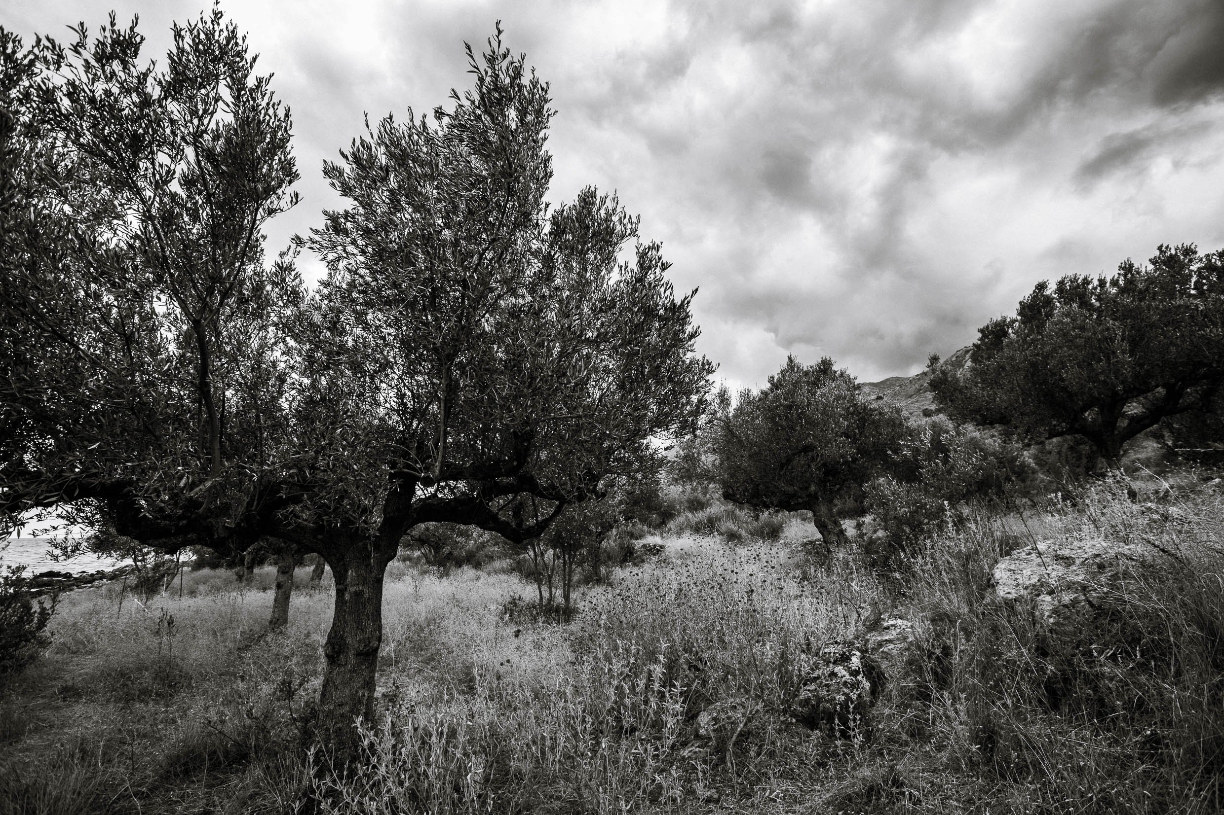 6D9B0331.jpg