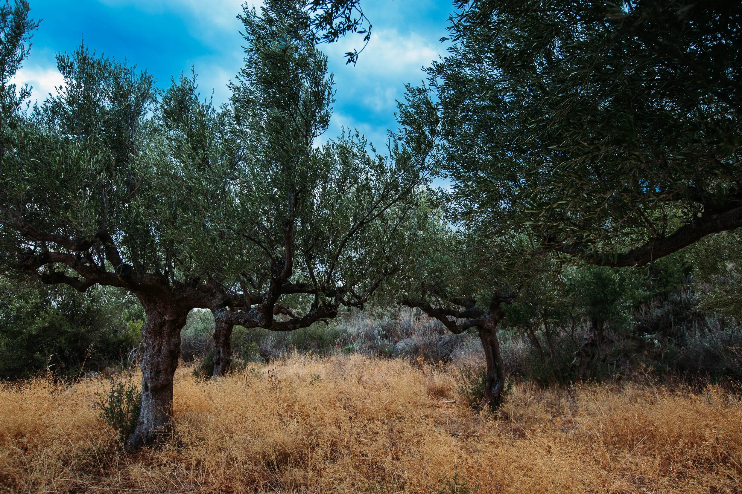6D9B0345.jpg