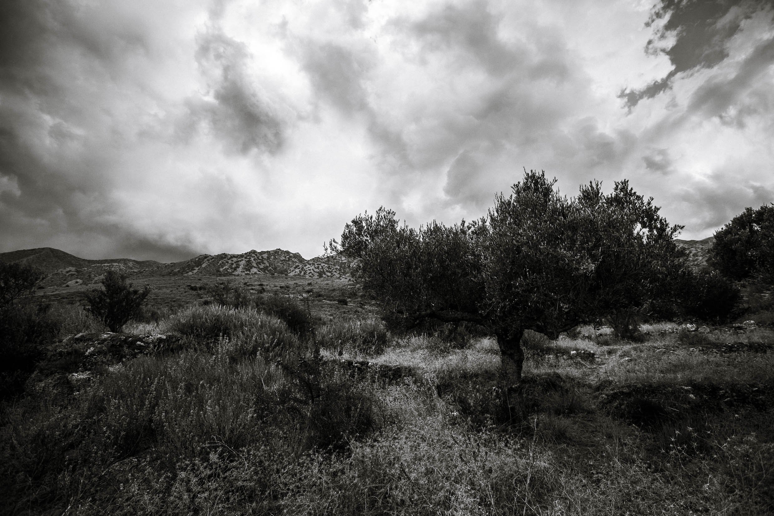 6D9B0355.jpg