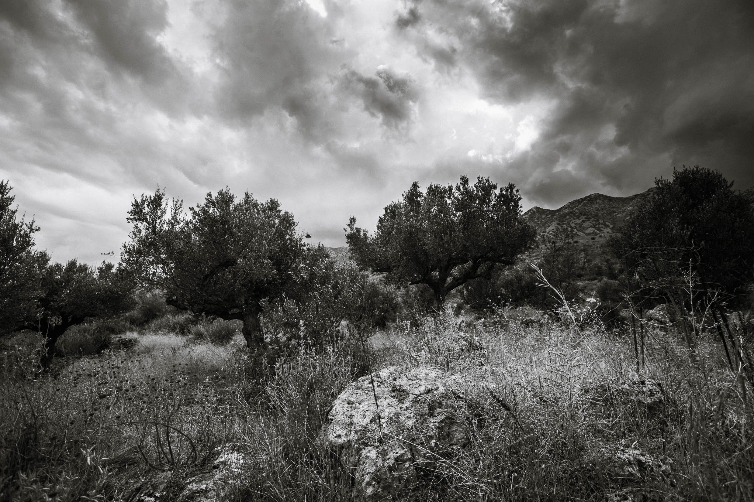 6D9B0364.jpg