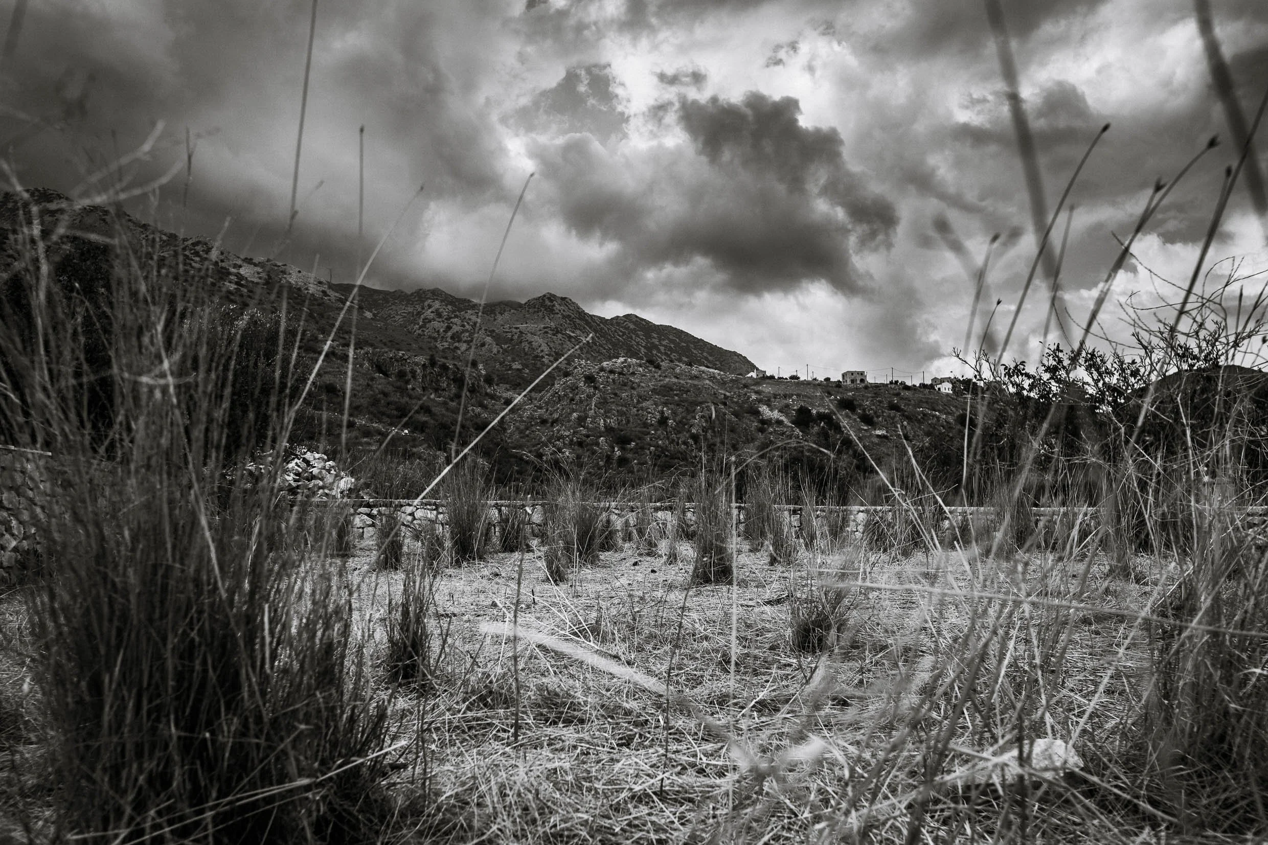 6D9B0365.jpg
