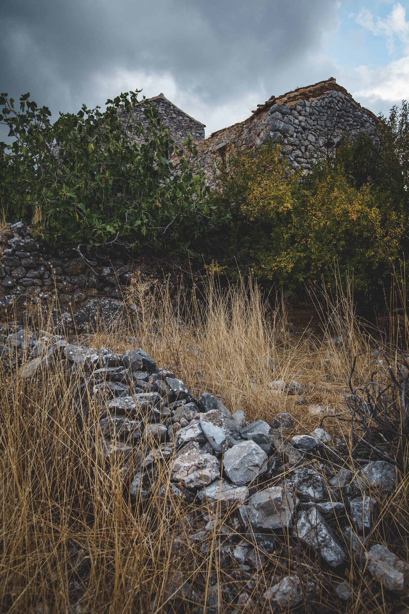 6D9B0420.jpg