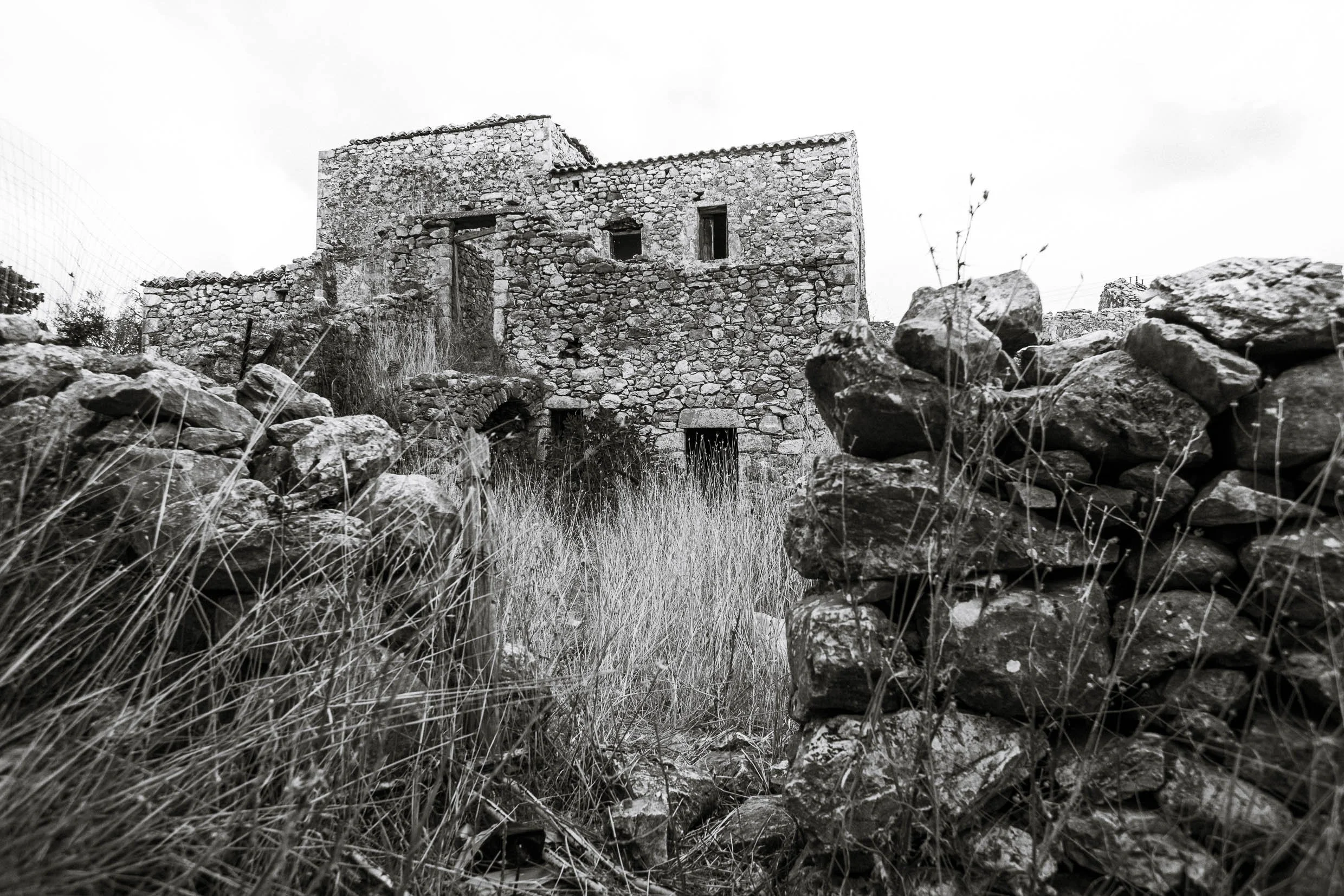6D9B0429.jpg