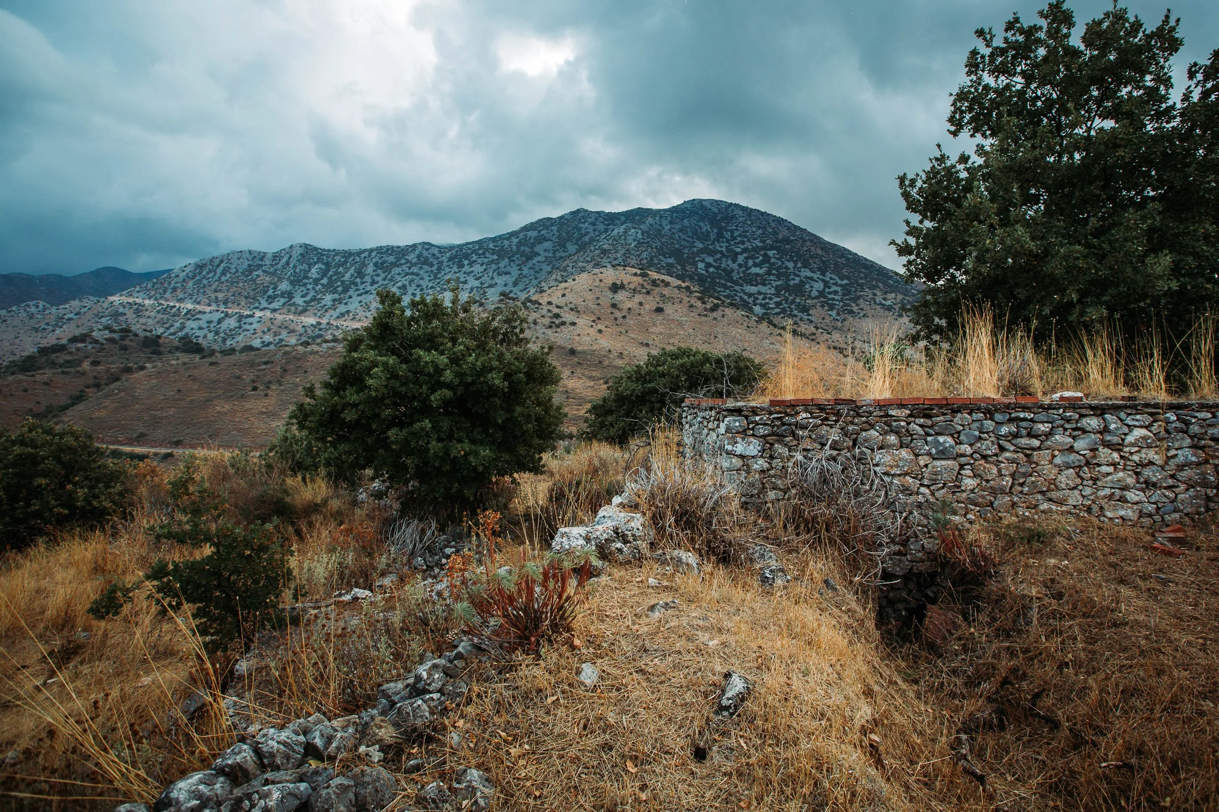 6D9B0435.jpg