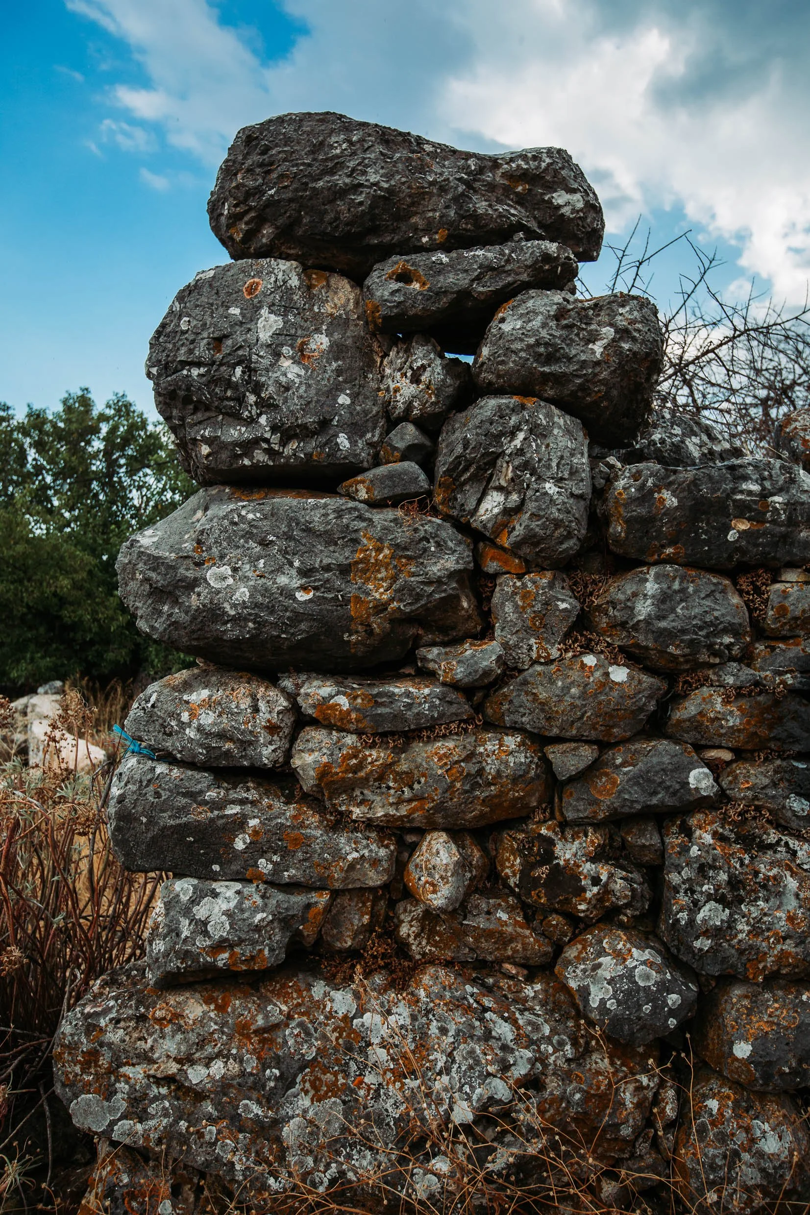 6D9B0448.jpg