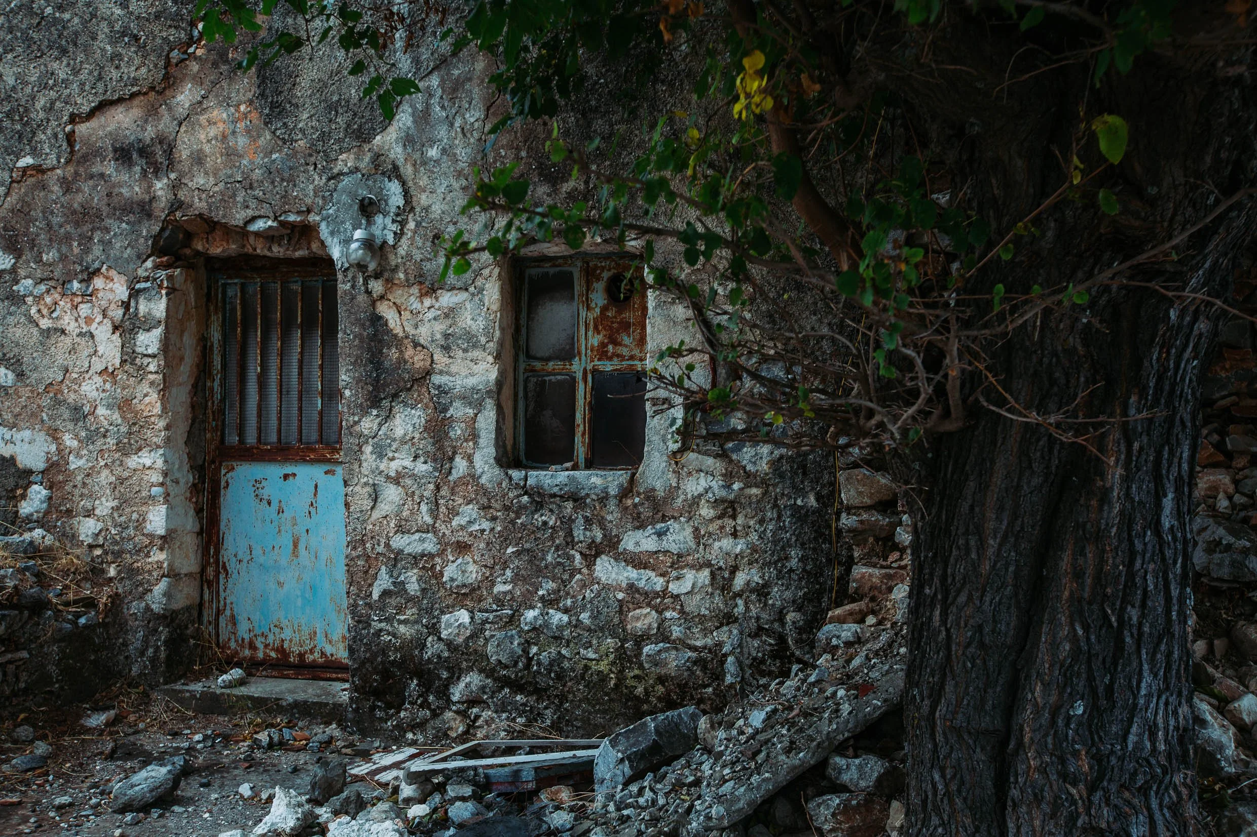 6D9B0480.jpg