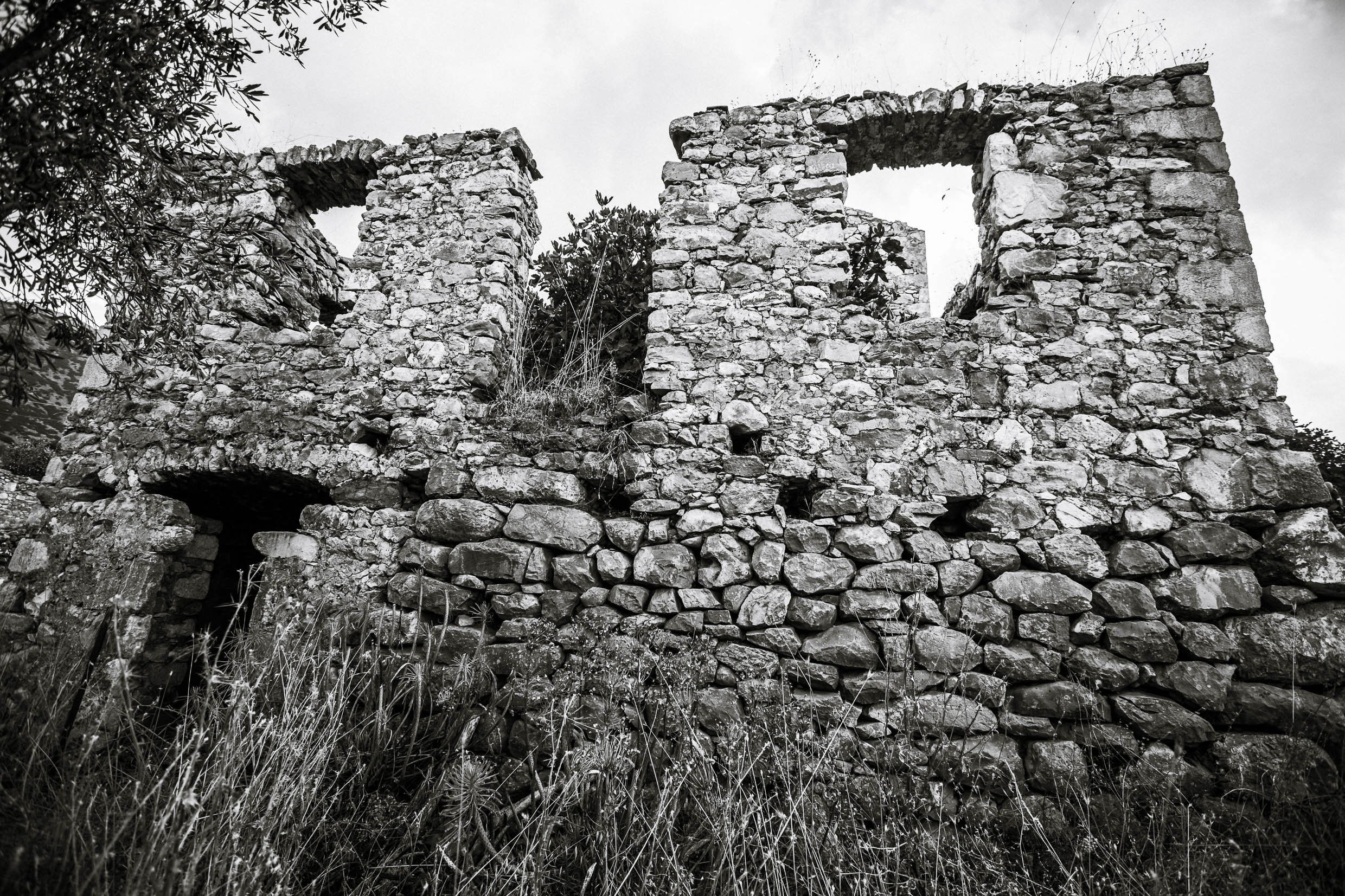 6D9B0488.jpg