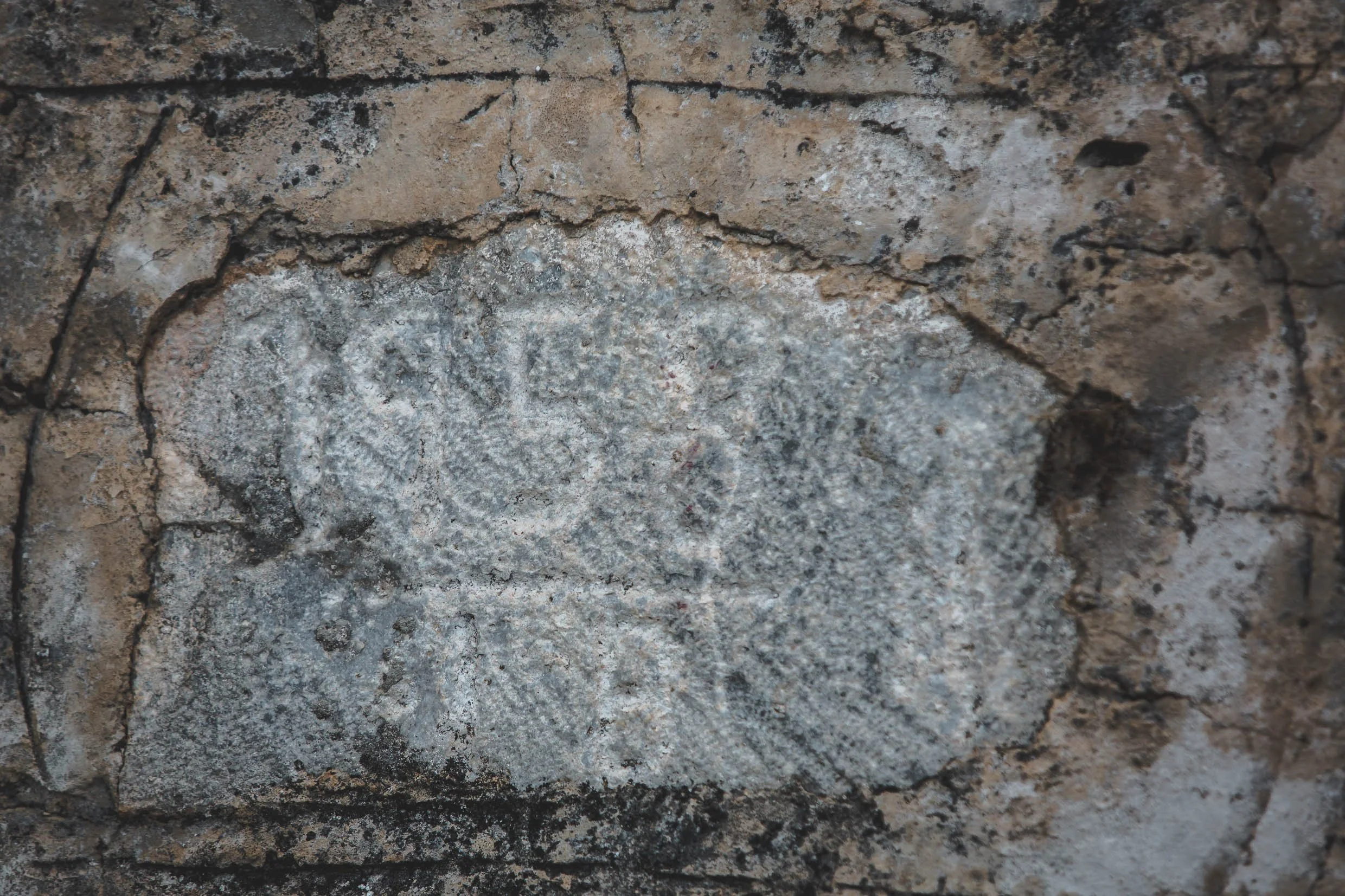 6D9B0506.jpg