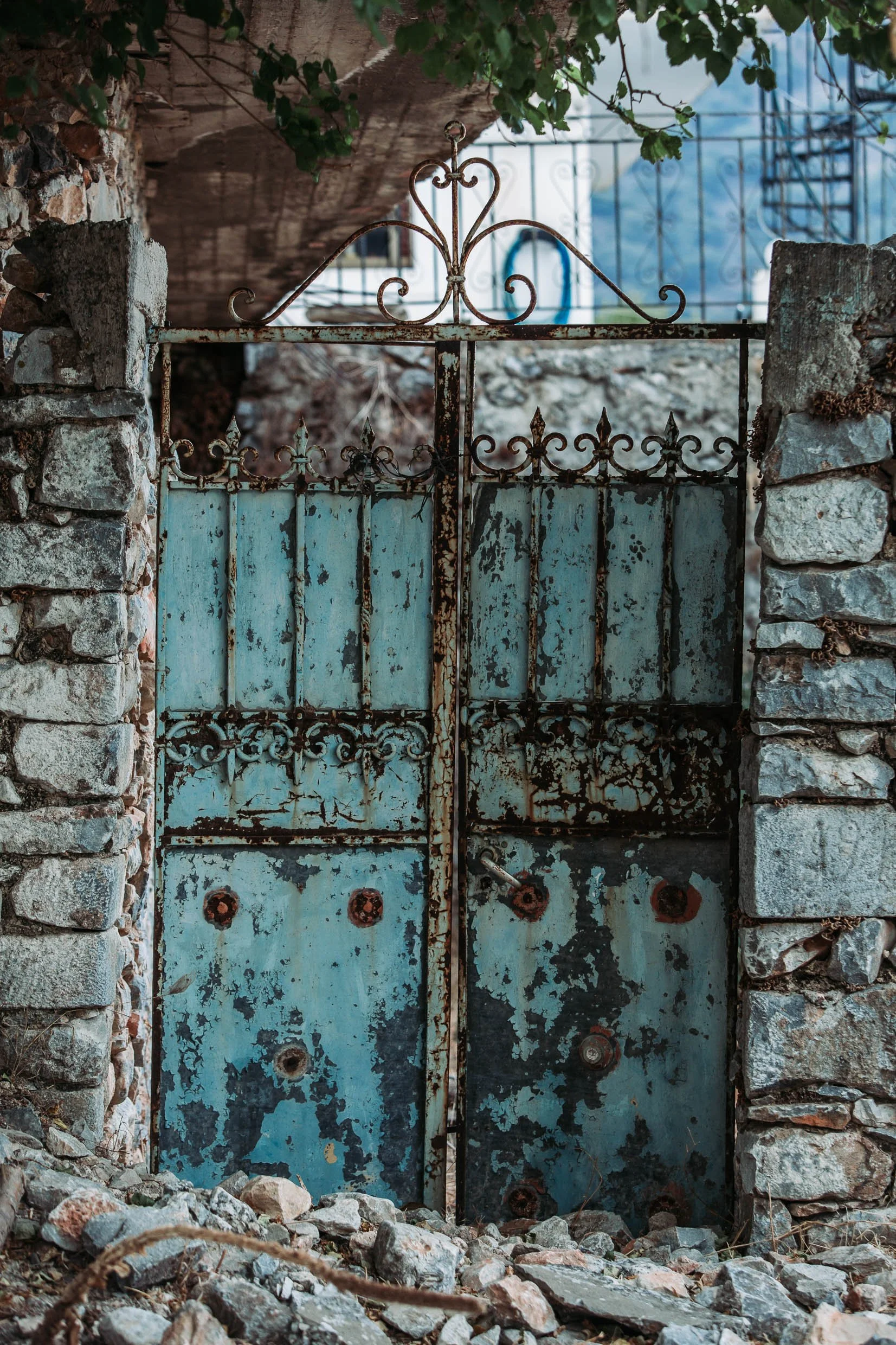 6D9B0518.jpg