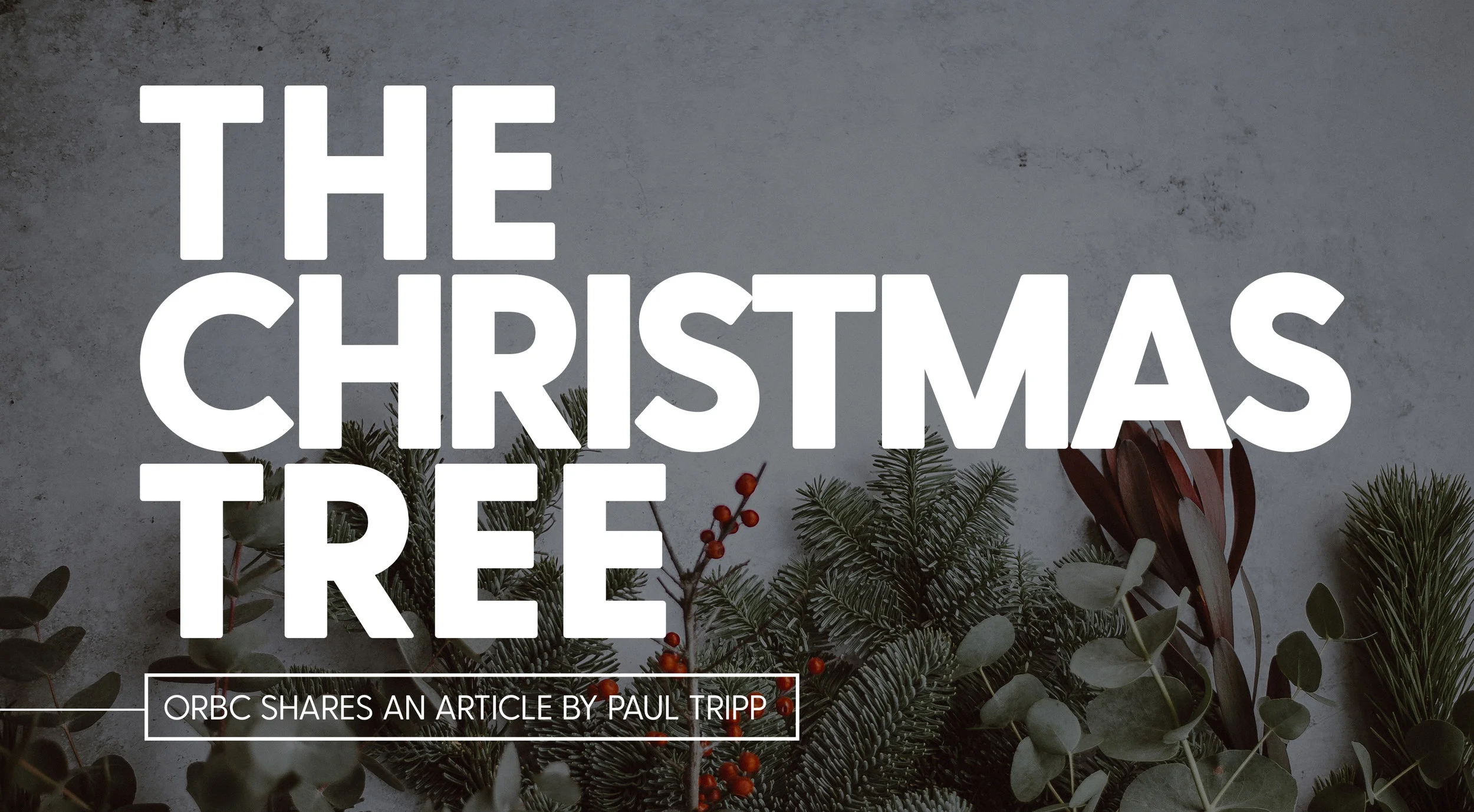 O Christmas Tree.jpg