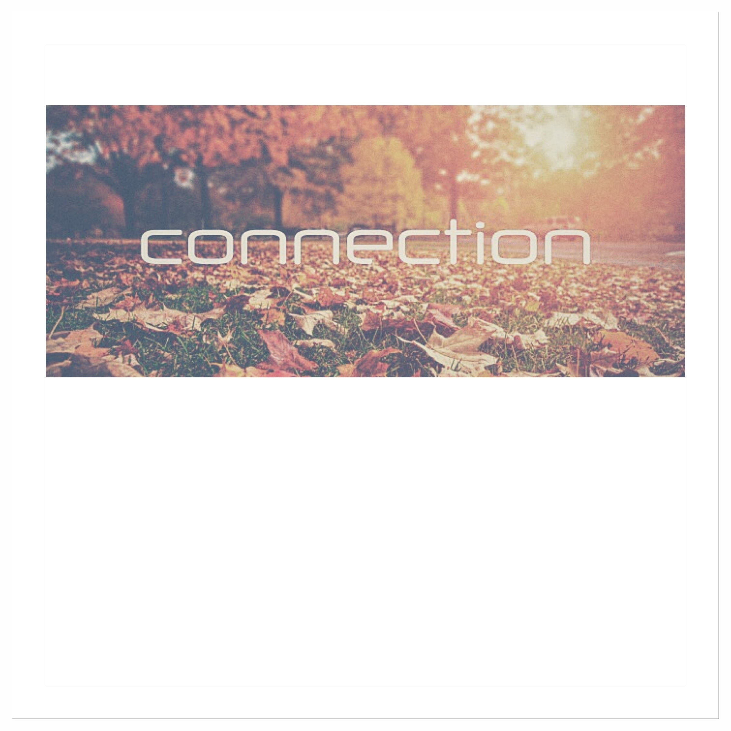 Connection (cover art).JPG