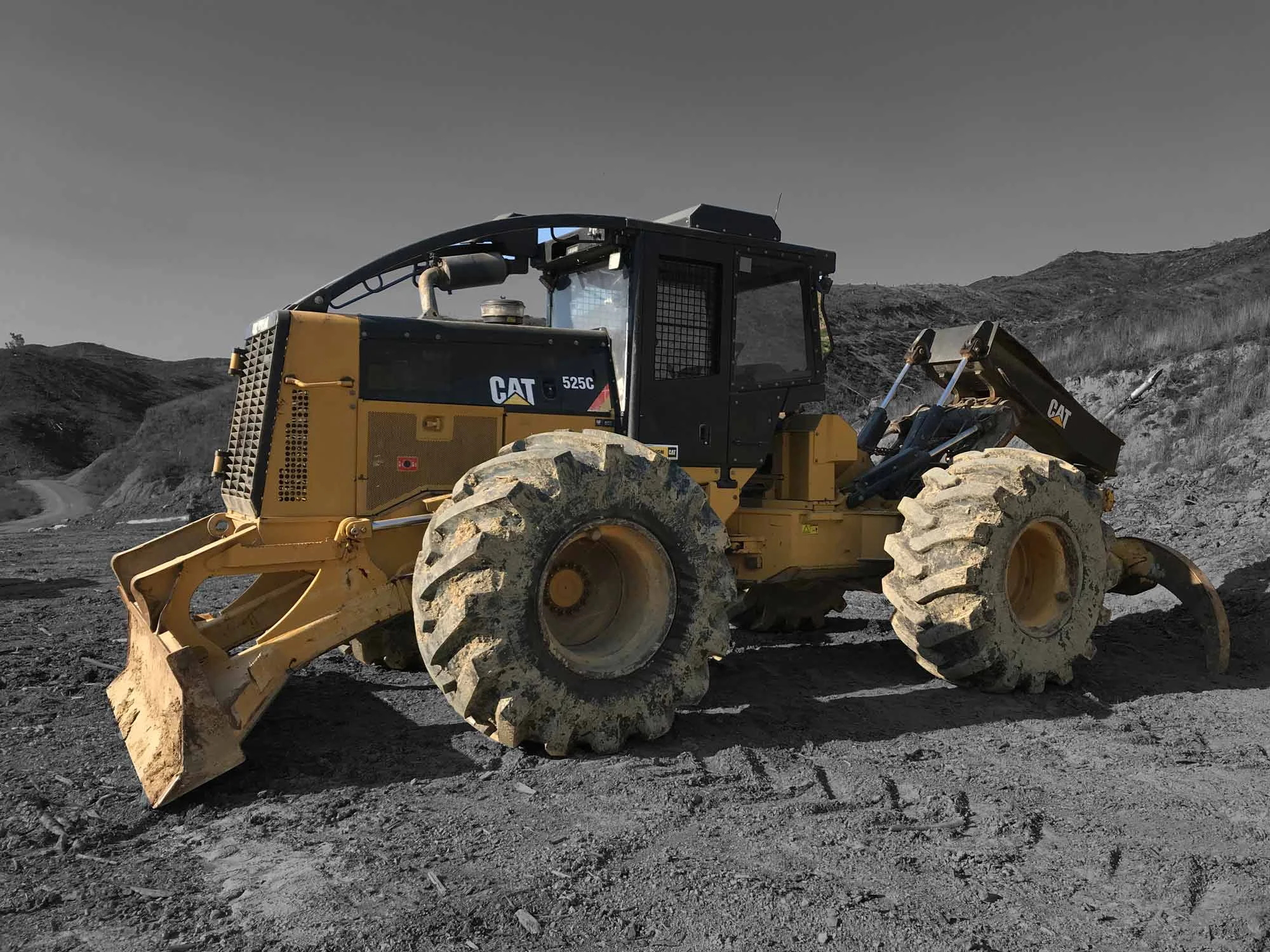 Skidder-March-2019-(3).jpg
