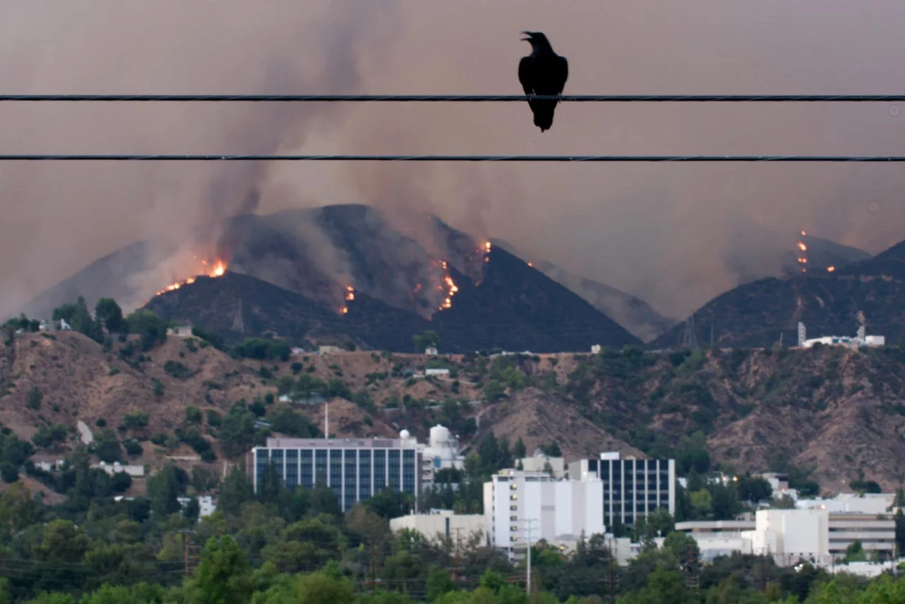 JPL Fires.jpg