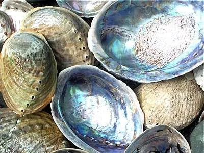 DCC Maori Participation working Party