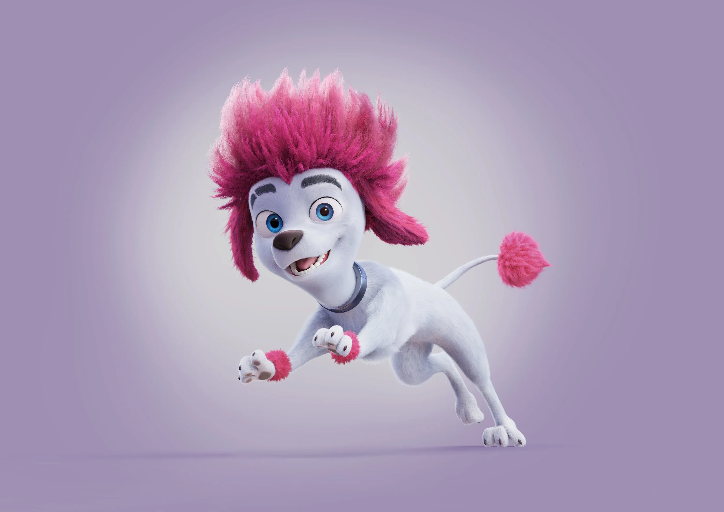 Freddy_Poodle_01.jpg