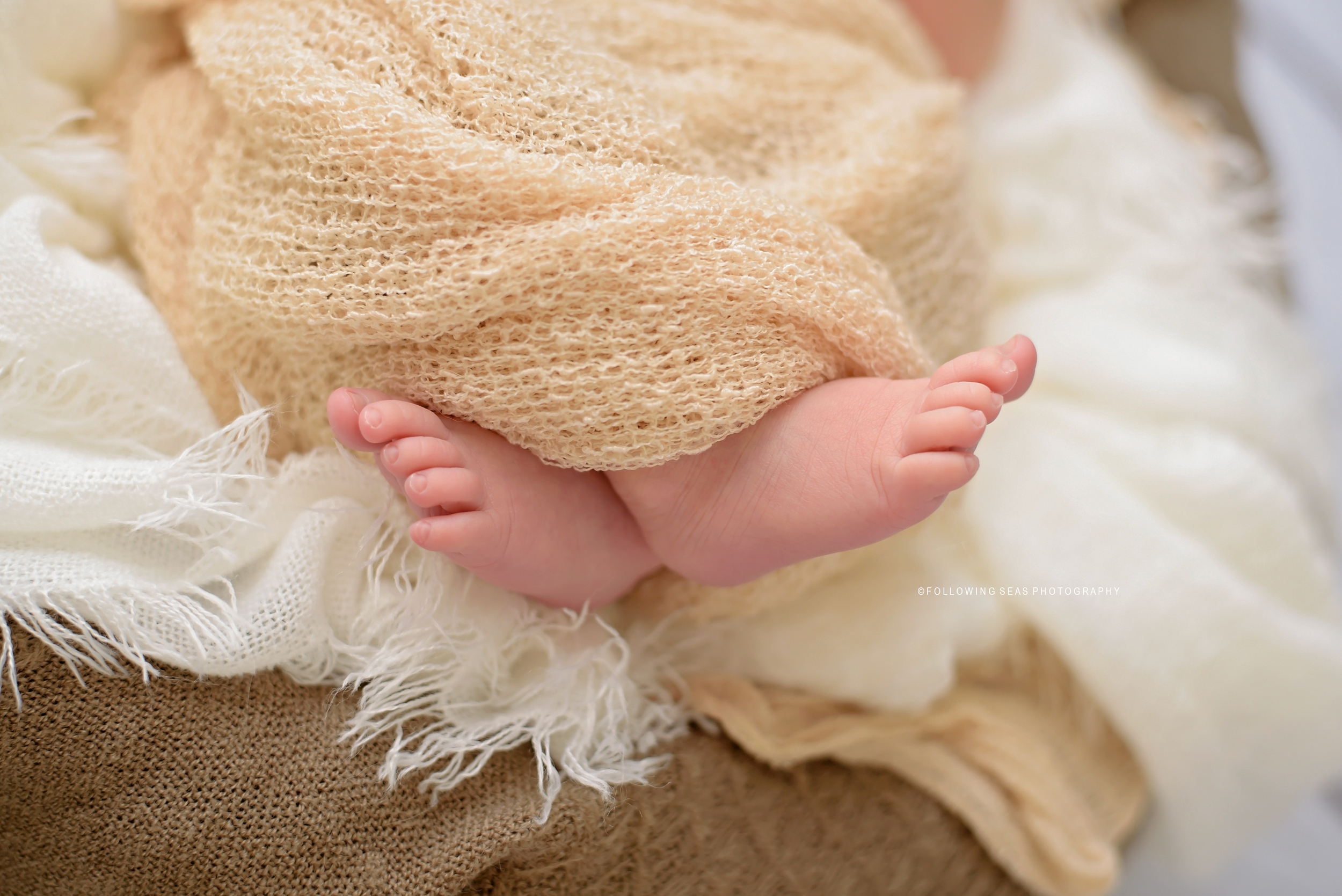 Bremerton-Newborn-Photography-2011.jpg