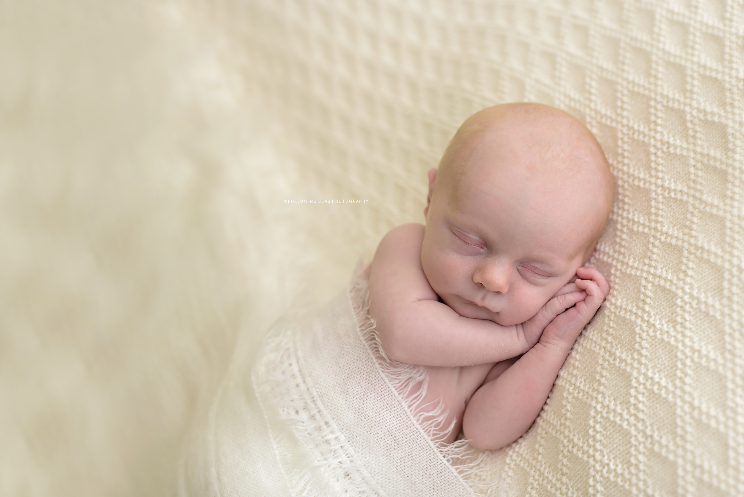 Bremerton Newborn Photographer-4596 copy.jpg