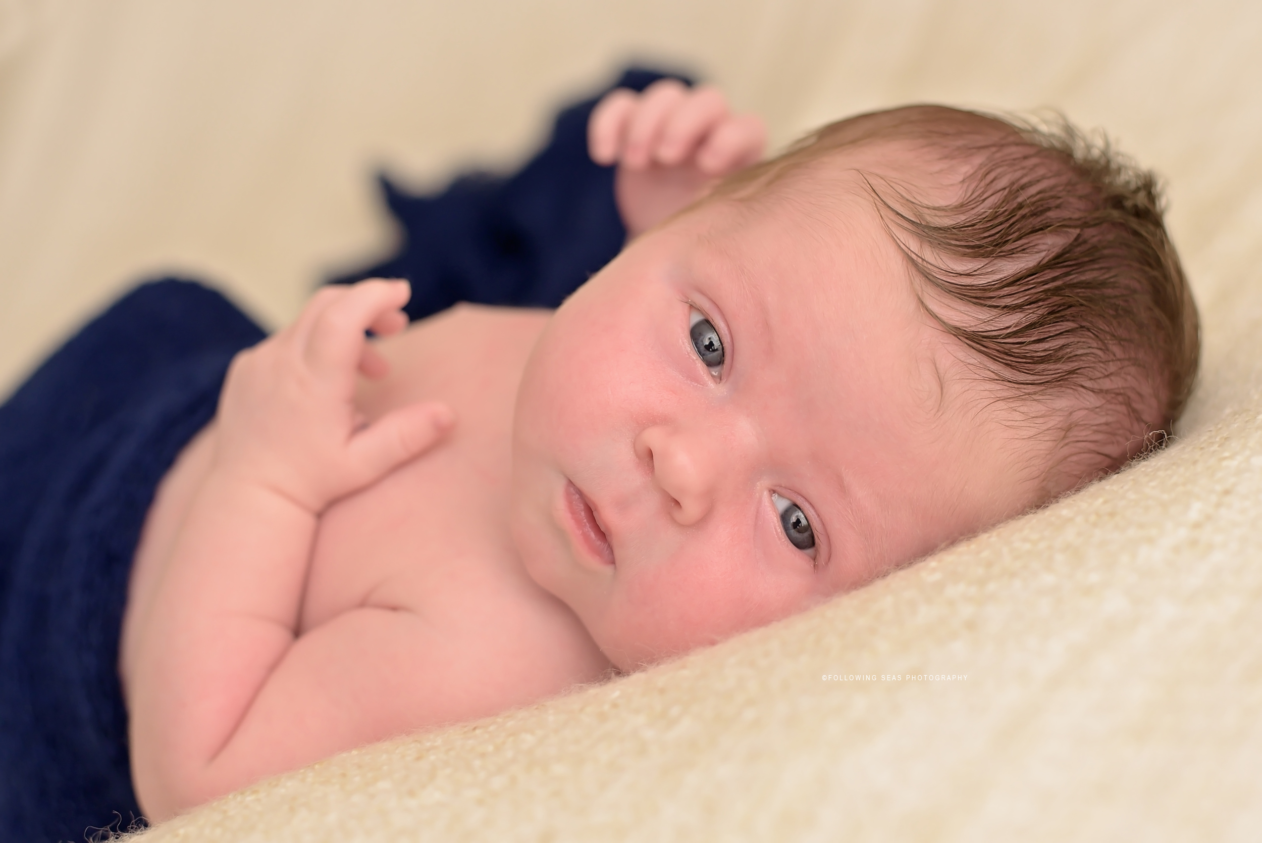 Bremerton-Newborn-Photographer-Following-Seas-Photography-9278 copy.jpg