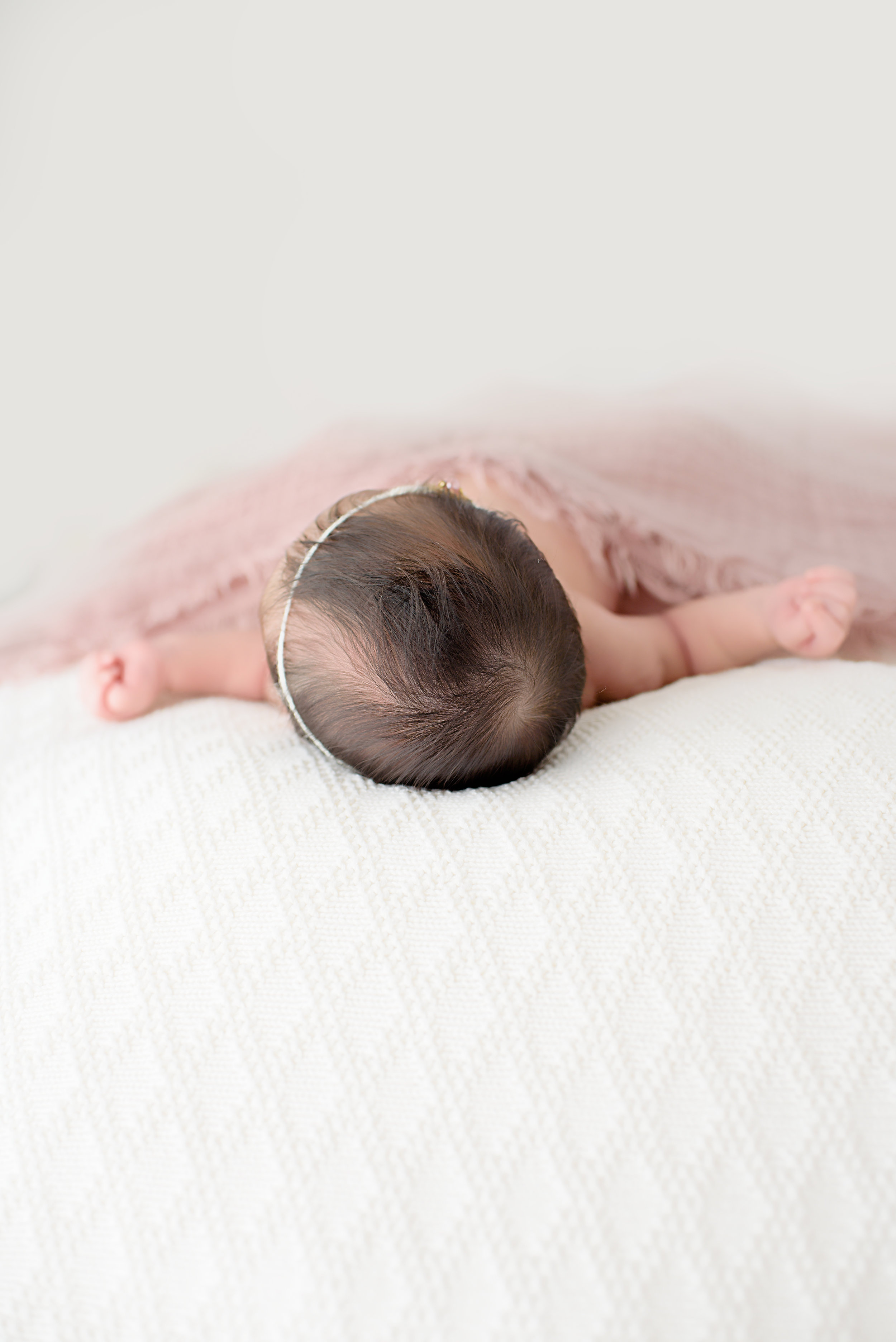 Charleston-Newborn-Photographer-Following-Seas-Photography-8841 copy.jpg