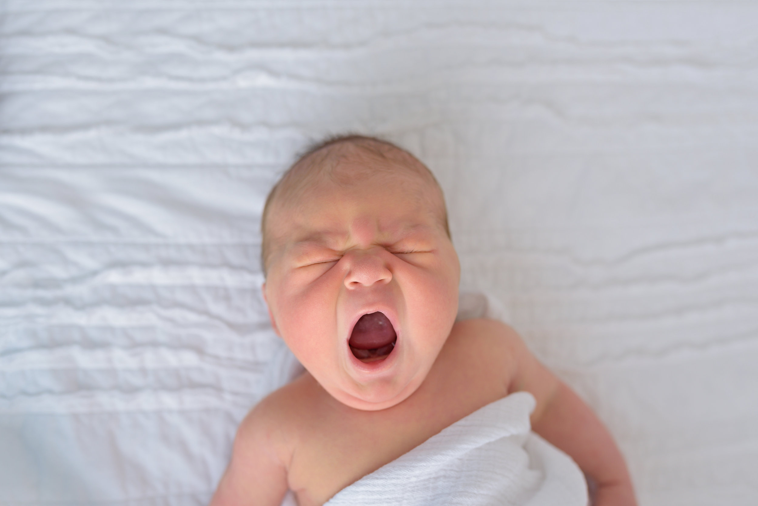 Charleston-Newborn-Photographer-Following-Seas-Photography-5052 copy.jpg