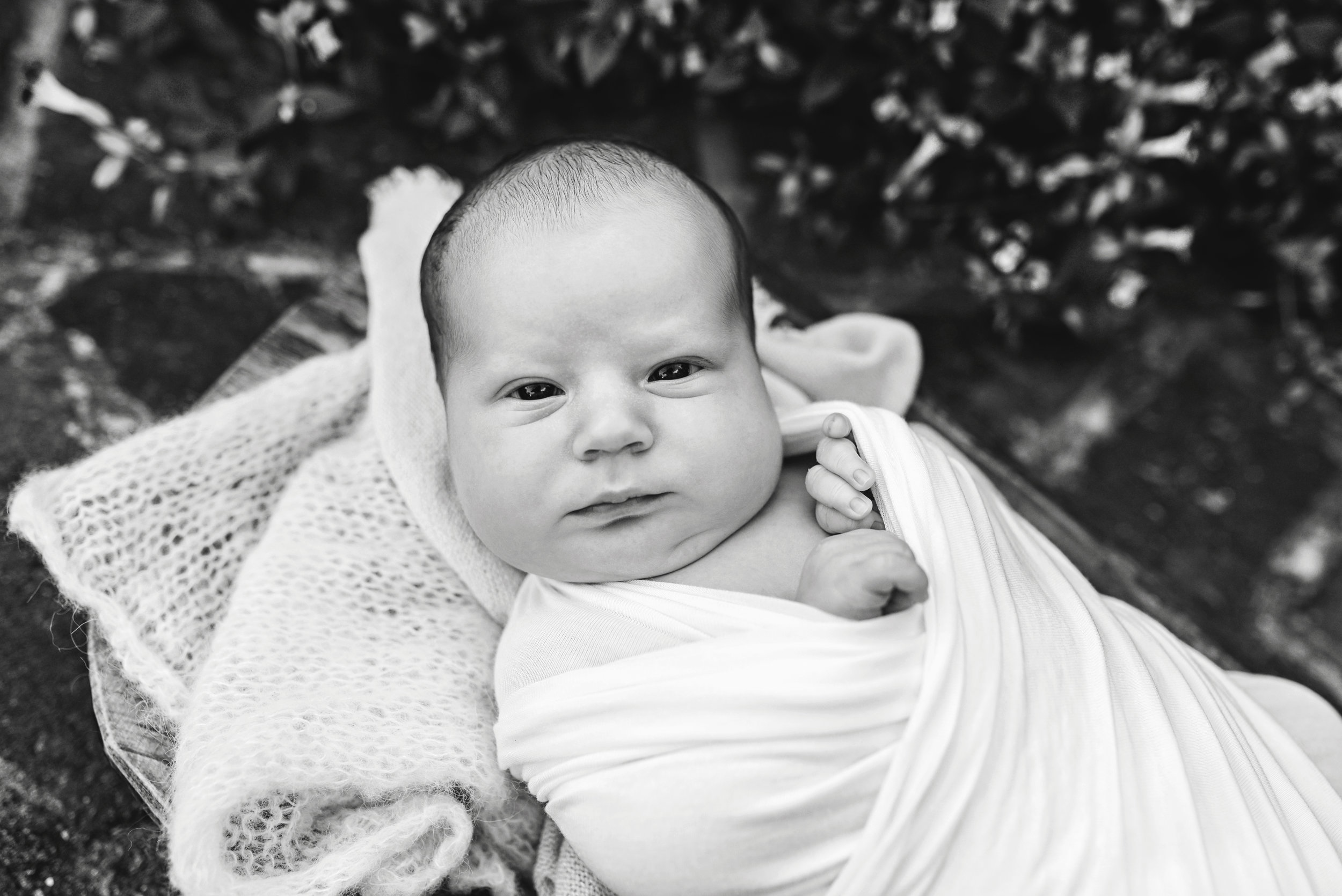 Charleston-Outdoor-Newborn-Photographer-Following-Seas-Photography-6188BW copy.jpg