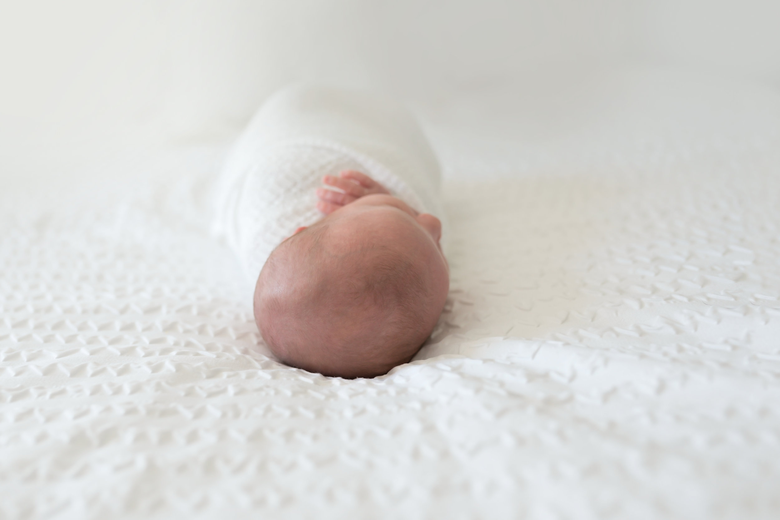 Charleston-Lifestyle-Newborn-Photographer-Following-Seas-Photography-7902 copy.jpg