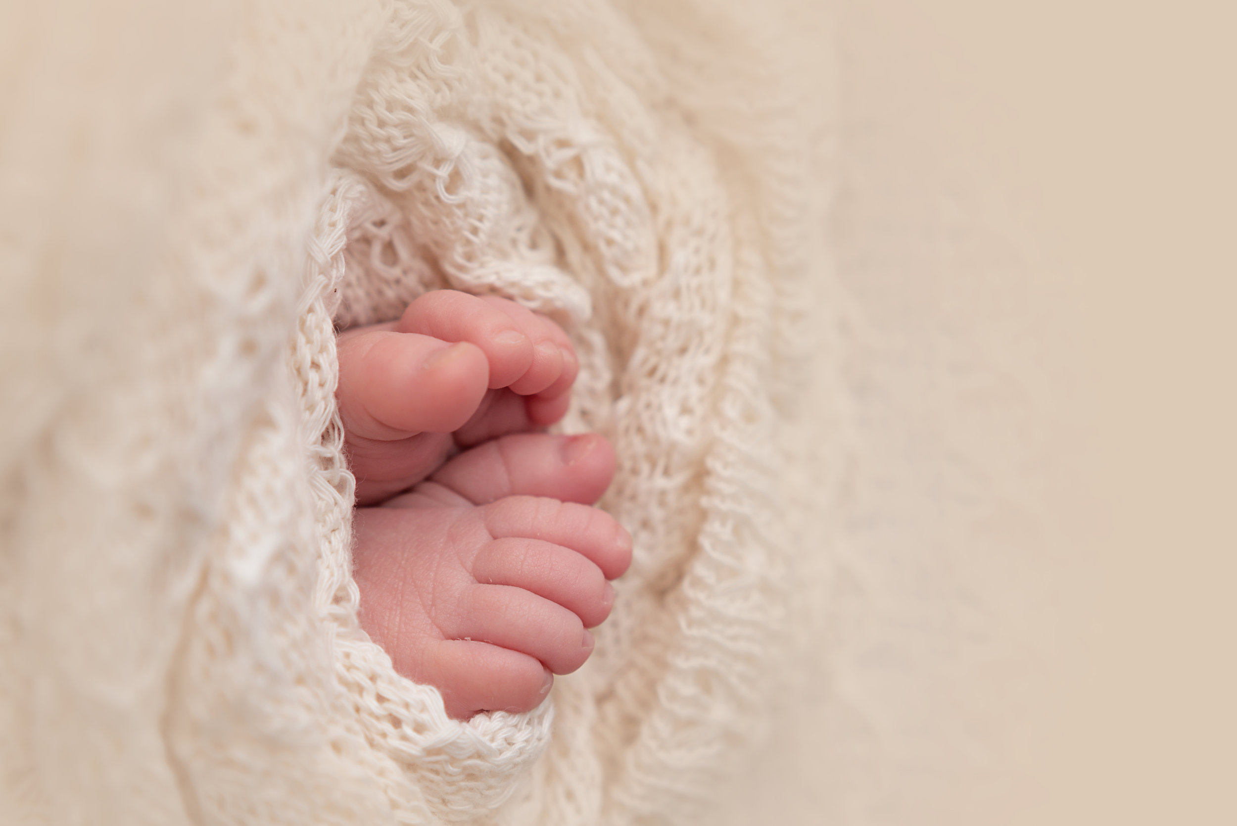 Charleston-Newborn-Photographer-FSP_9023 copy.jpg