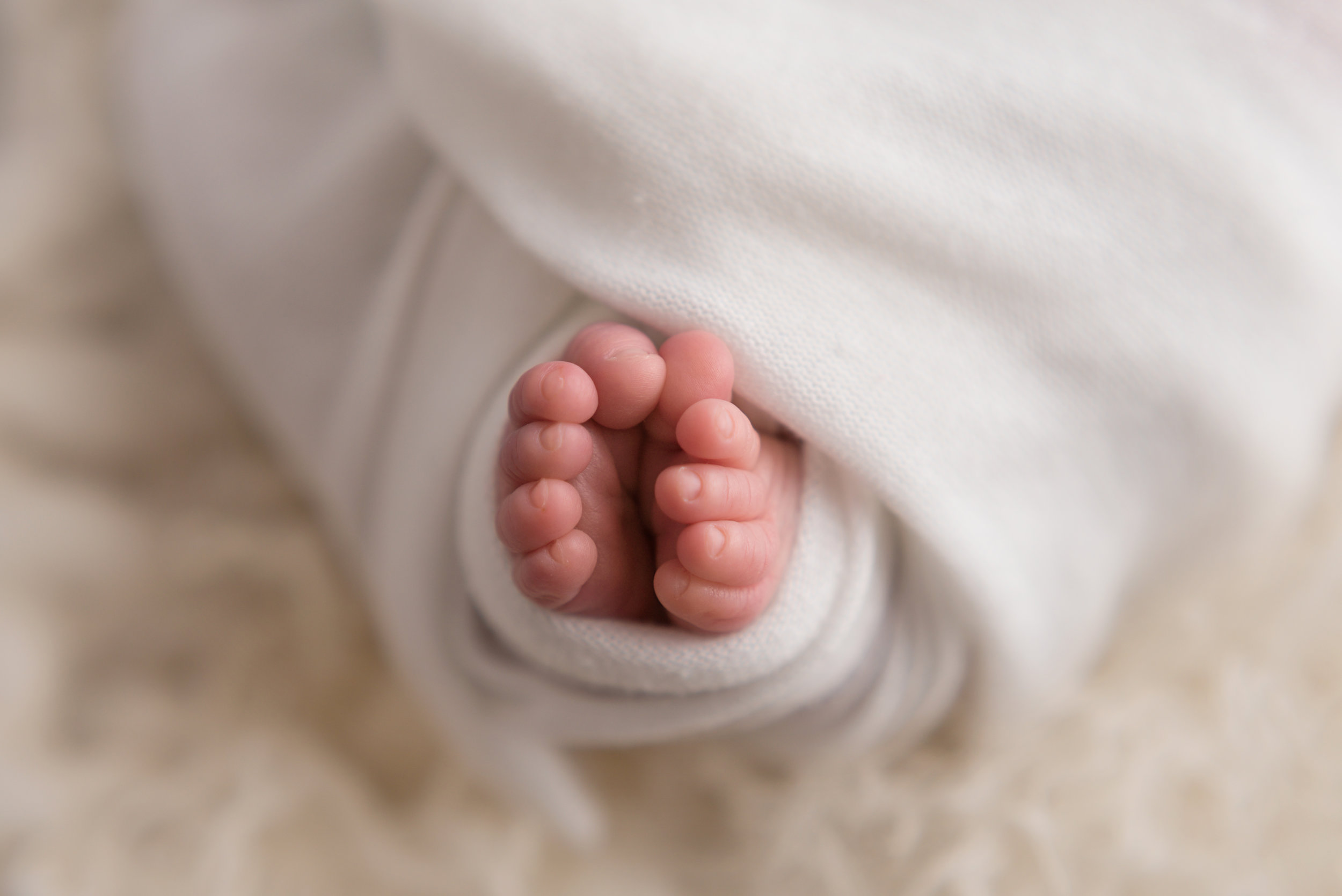 Charleston-Newborn-Photographer-FSP_2138 copy.jpg