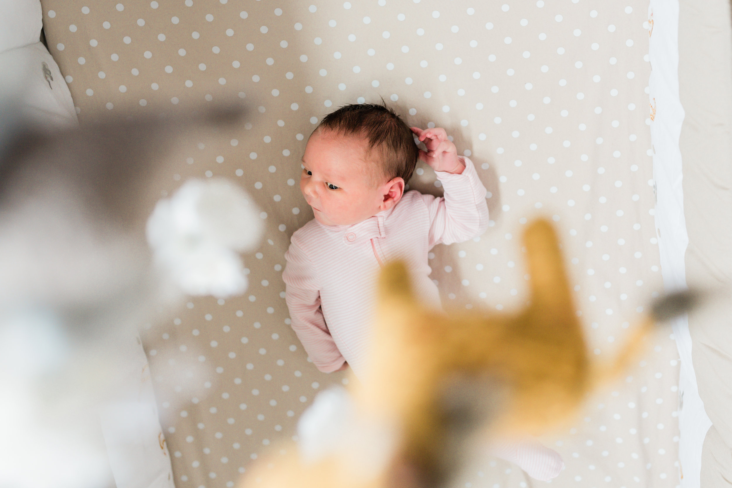 Summerville-Newborn-Photographer-Following-Seas-Photography-FSP_8829 copy.jpg