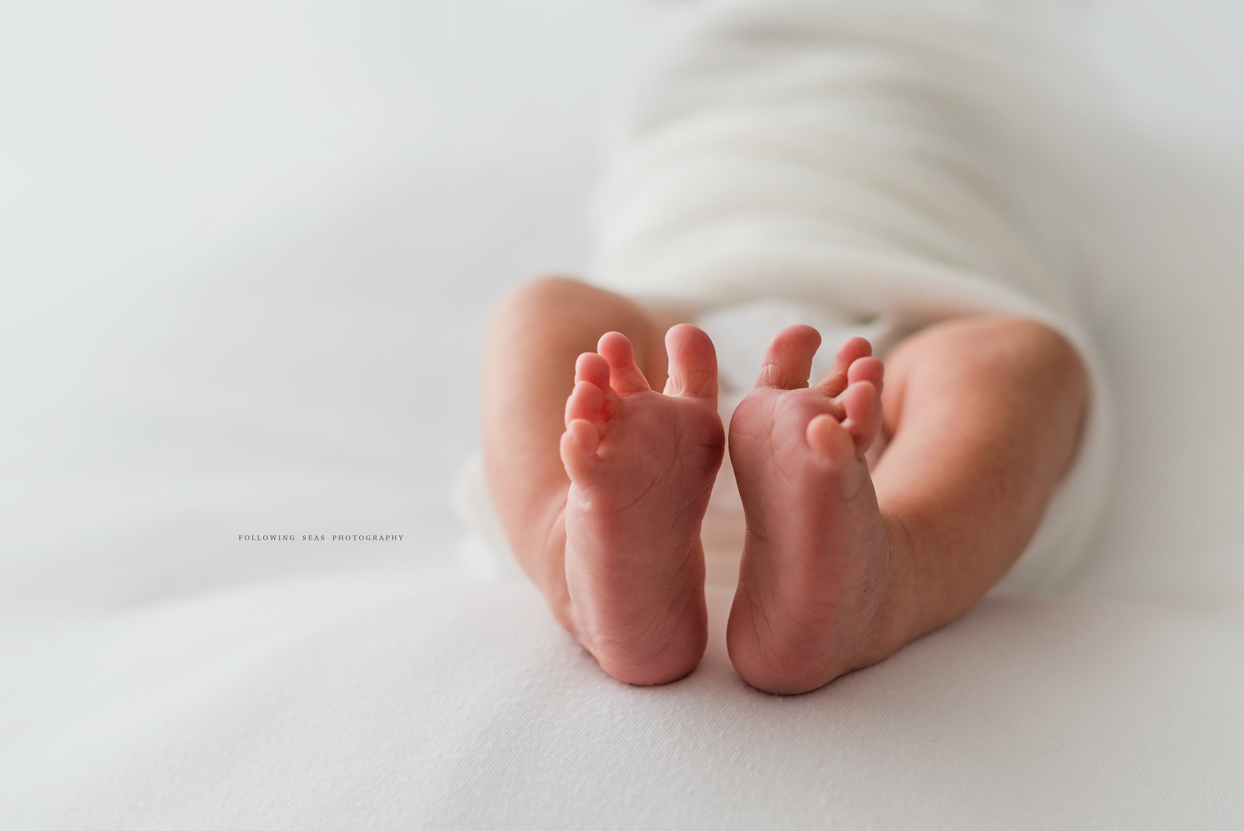 Charleston-Newborn-Photographer-Following-Seas-Photography-FSP_0108.jpg