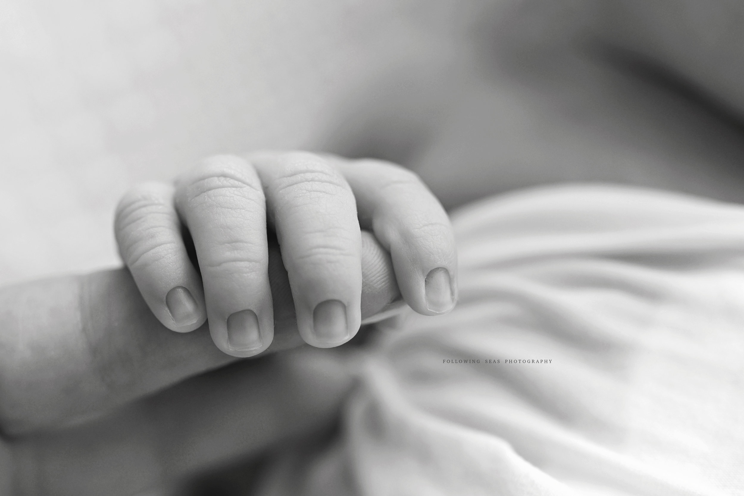 Charleston-Newborn-Photographer-Following-Seas-Photography-FSP_0578BW.jpg