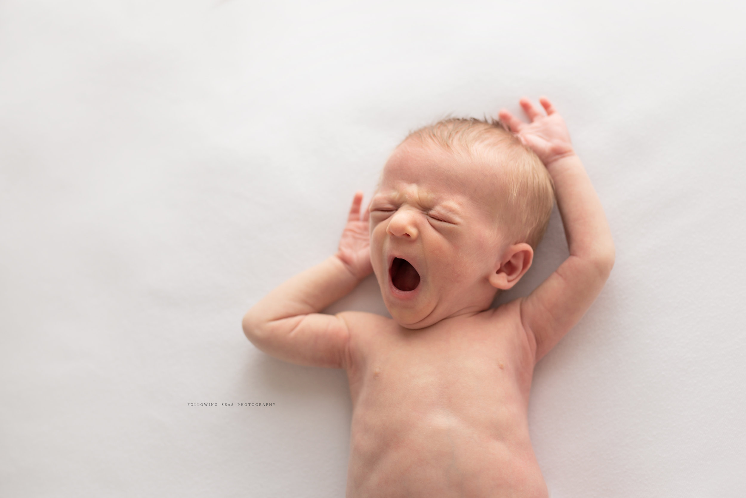 Charleston-Newborn-Photographer-Following-Seas-Photography-FSP_1754.jpg