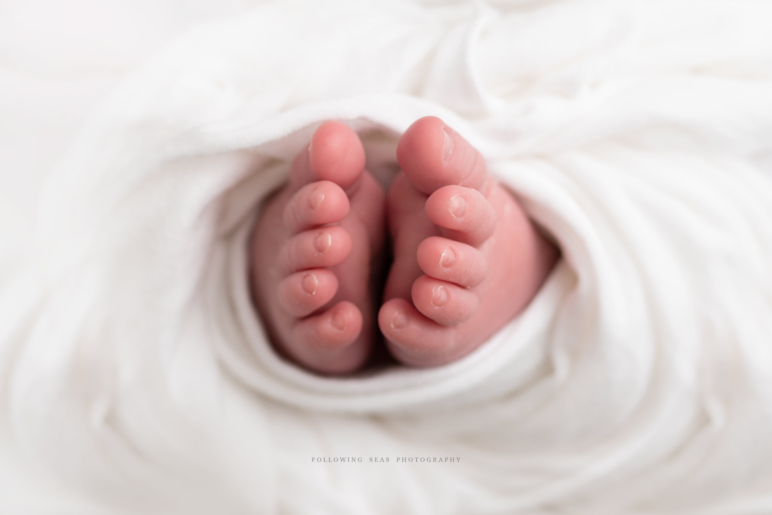 Charleston-Newborn-Photographer-Following-Seas-Photography-FSP_4714.jpg