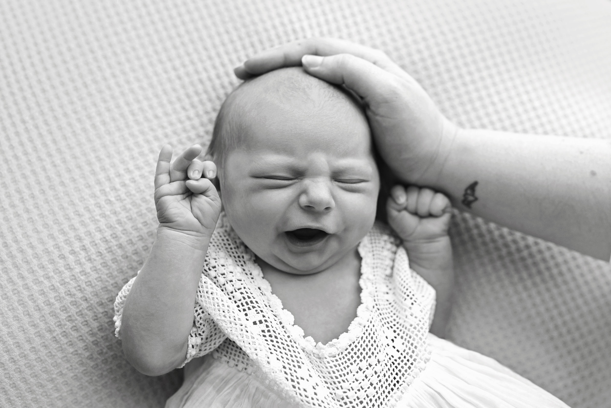 Charleston-Newborn-Photographer-Following-Seas-Photography-FSP_4525BW copy.jpg