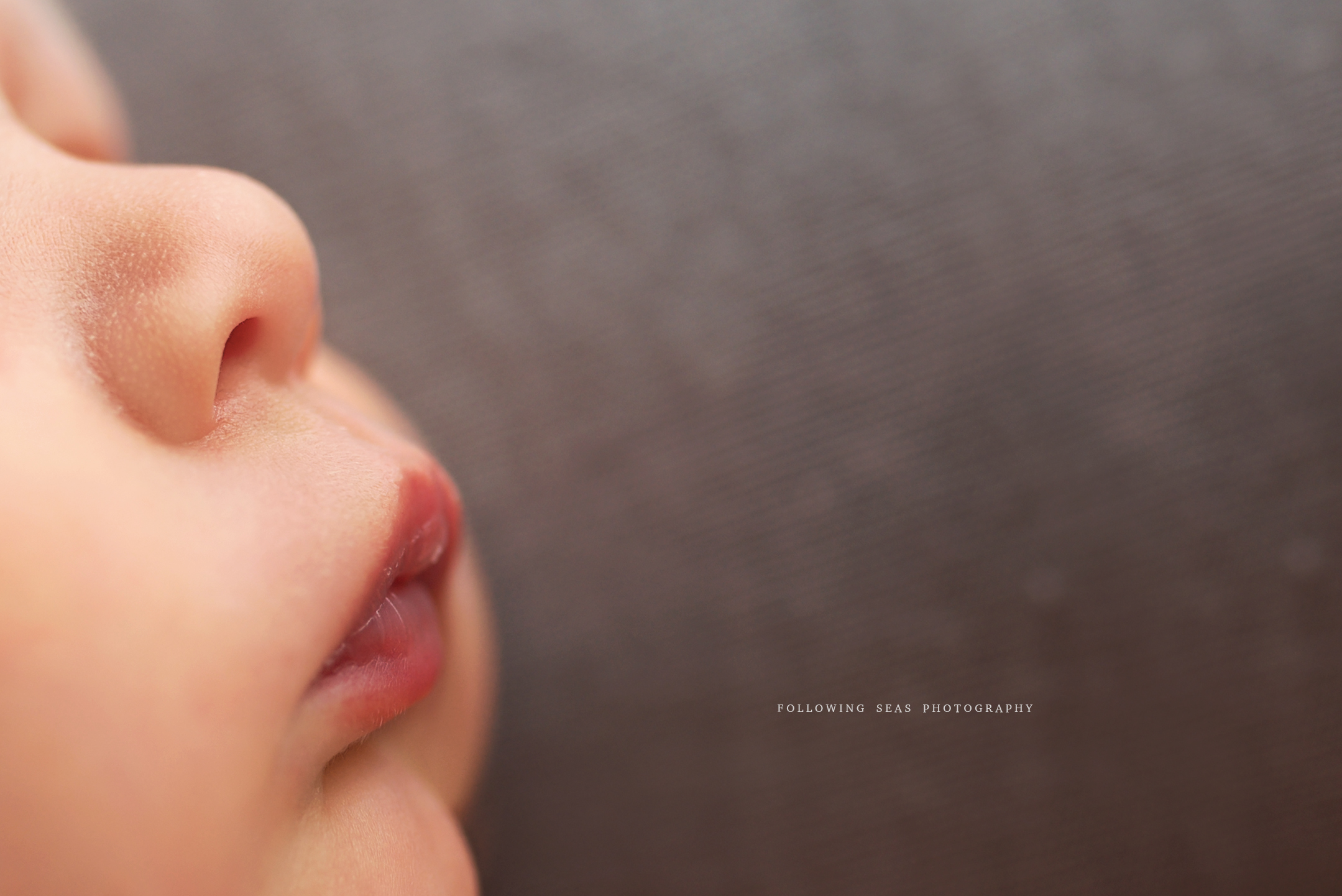 Charleston-Newborn-Photographer-Following-Seas-Photography-FSP_1567.jpg