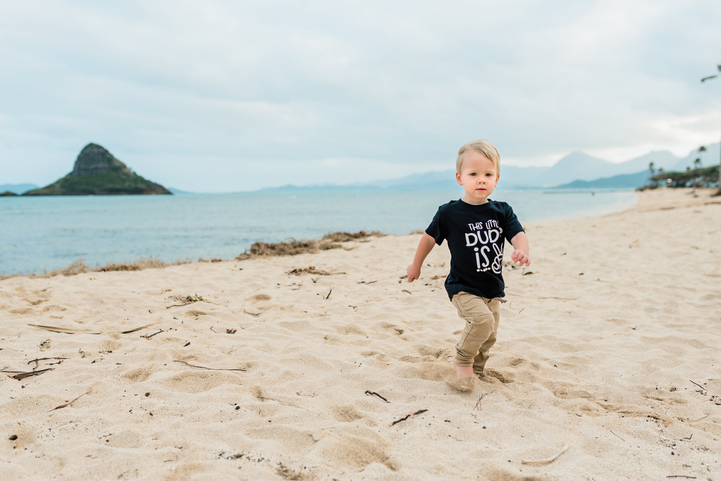 Kualoa-Park-Family-Photographer-Following-Seas-Photography-FSP_0994 copy.jpg