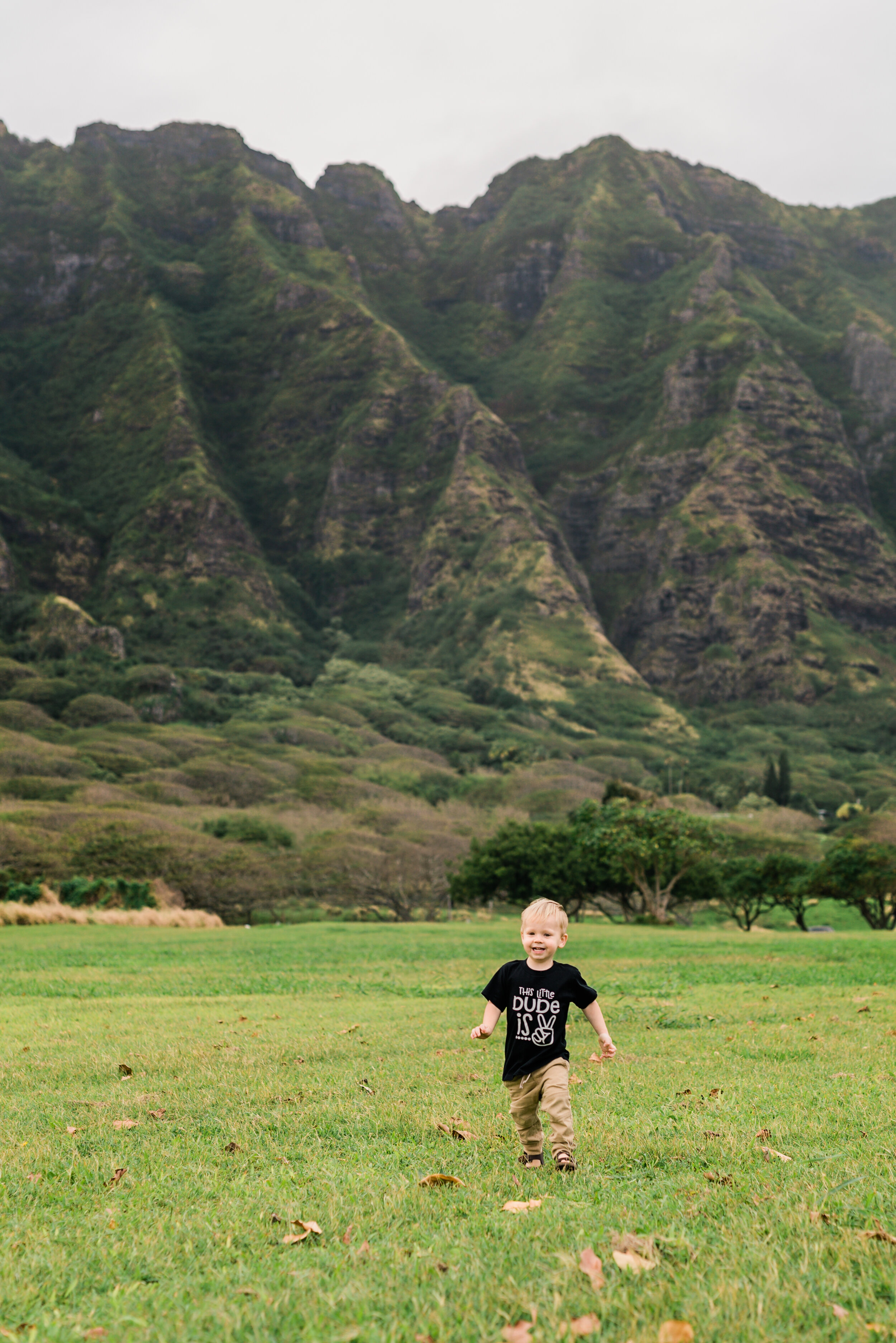 Kualoa-Park-Family-Photographer-Following-Seas-Photography-FSP_0772 copy.jpg