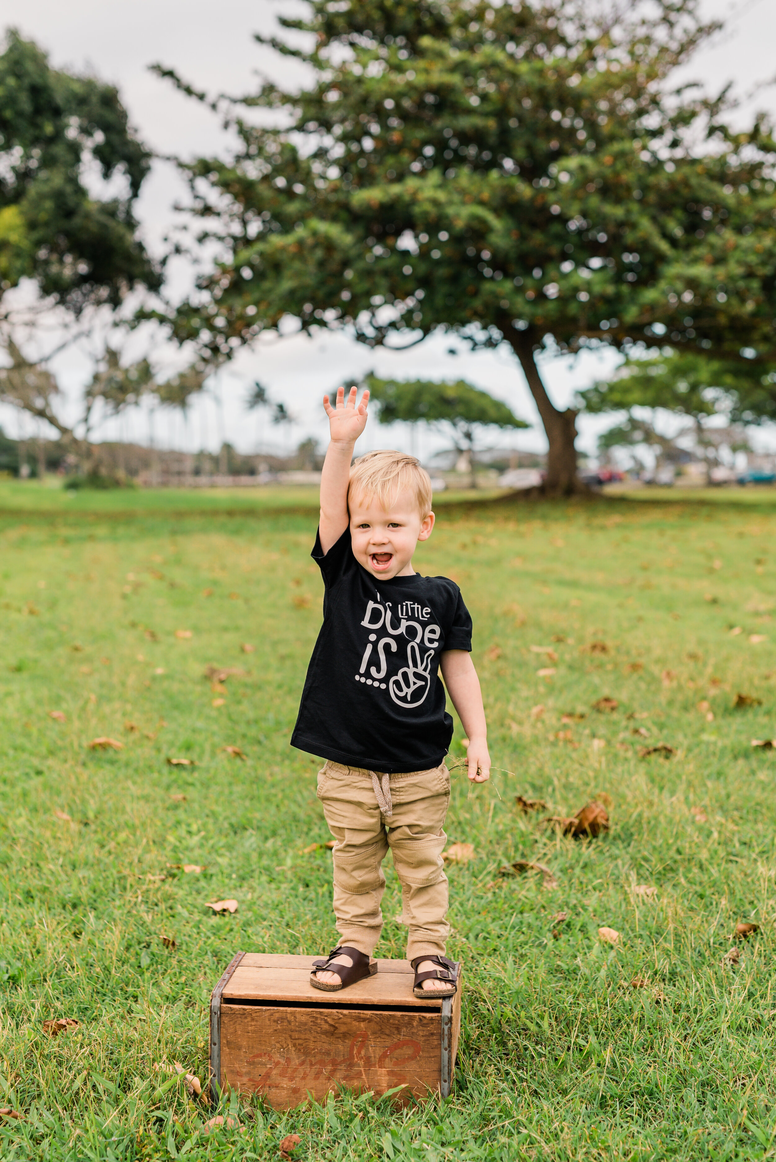 Kualoa-Park-Family-Photographer-Following-Seas-Photography-FSP_0628 copy.jpg