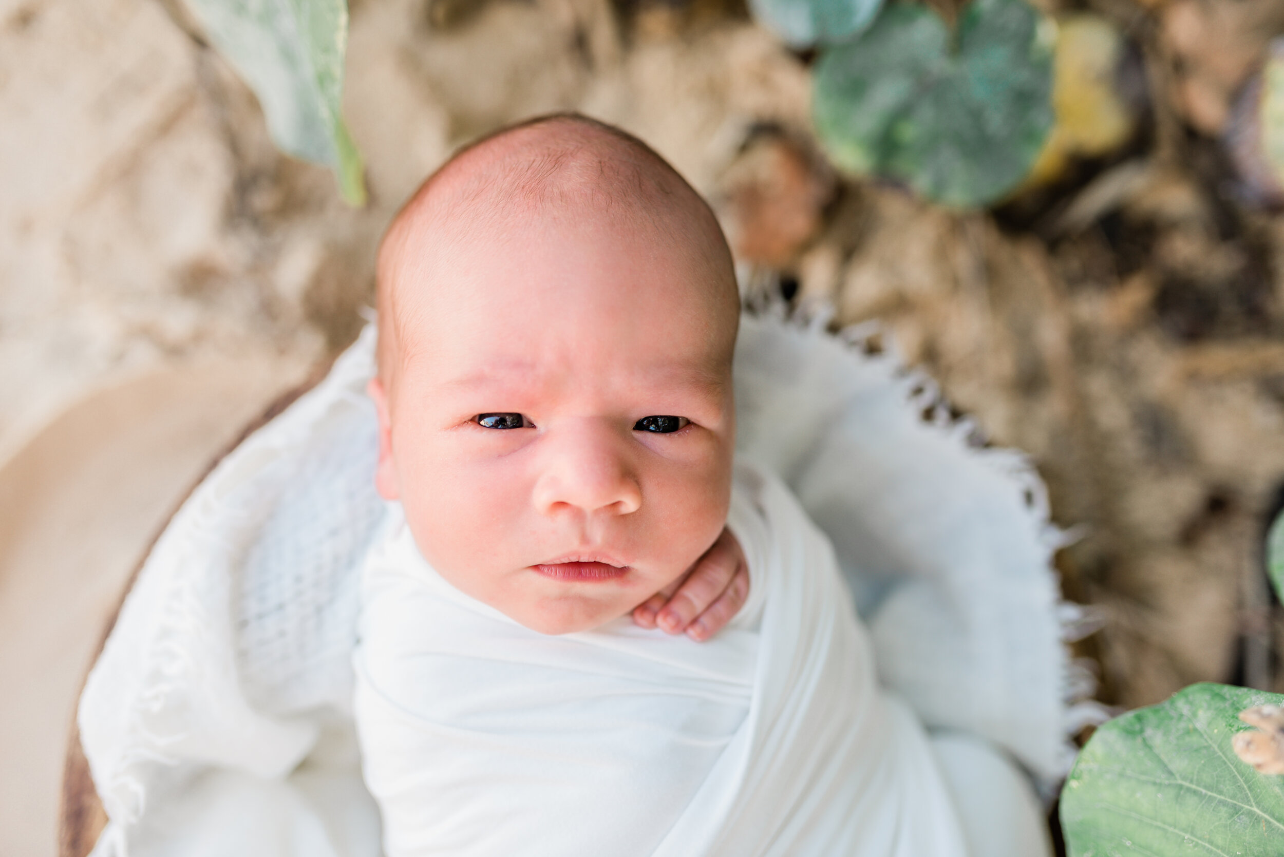 Kailua-Newborn-Photographer-Following-Seas-Photography-FSP_2941 copy.jpg