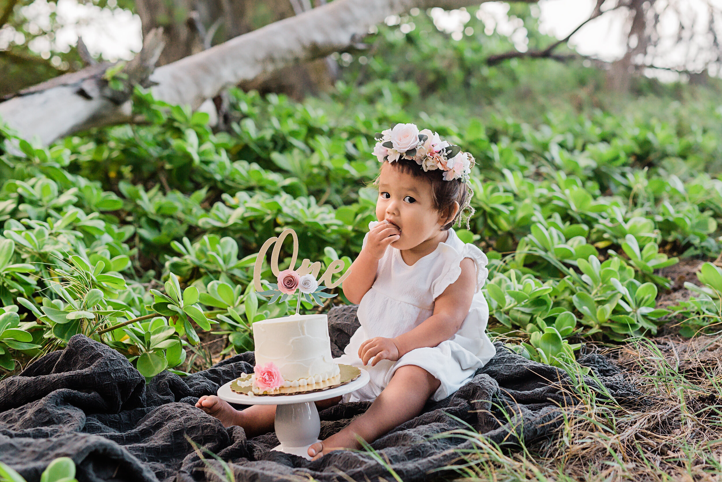 Waimanalo-Family-Photographer-Following-Seas-Photography-FSP_9984 copy.jpg