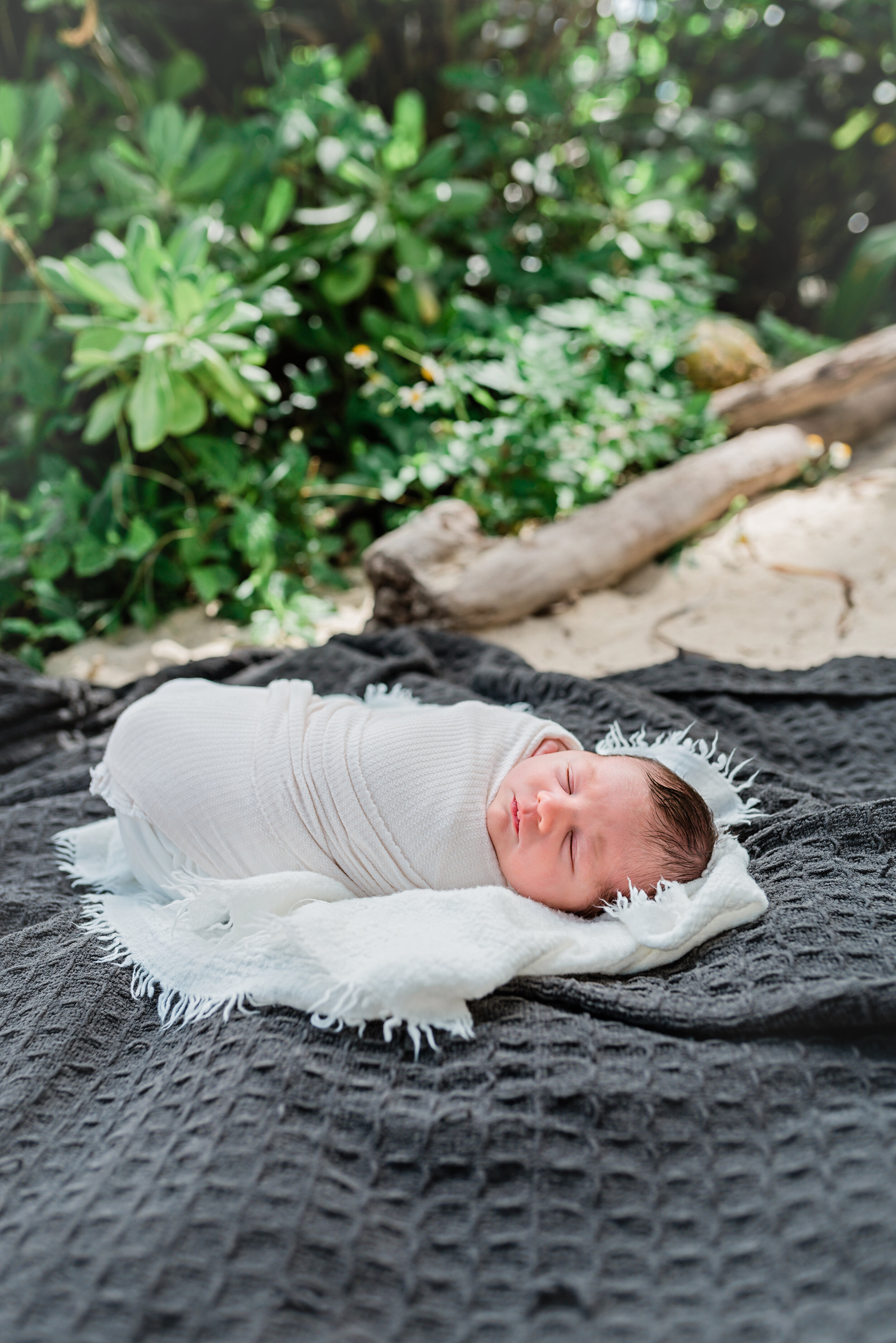Lanikai-Newborn-Photographer-Following-Seas-Photography-1381 copy.jpg