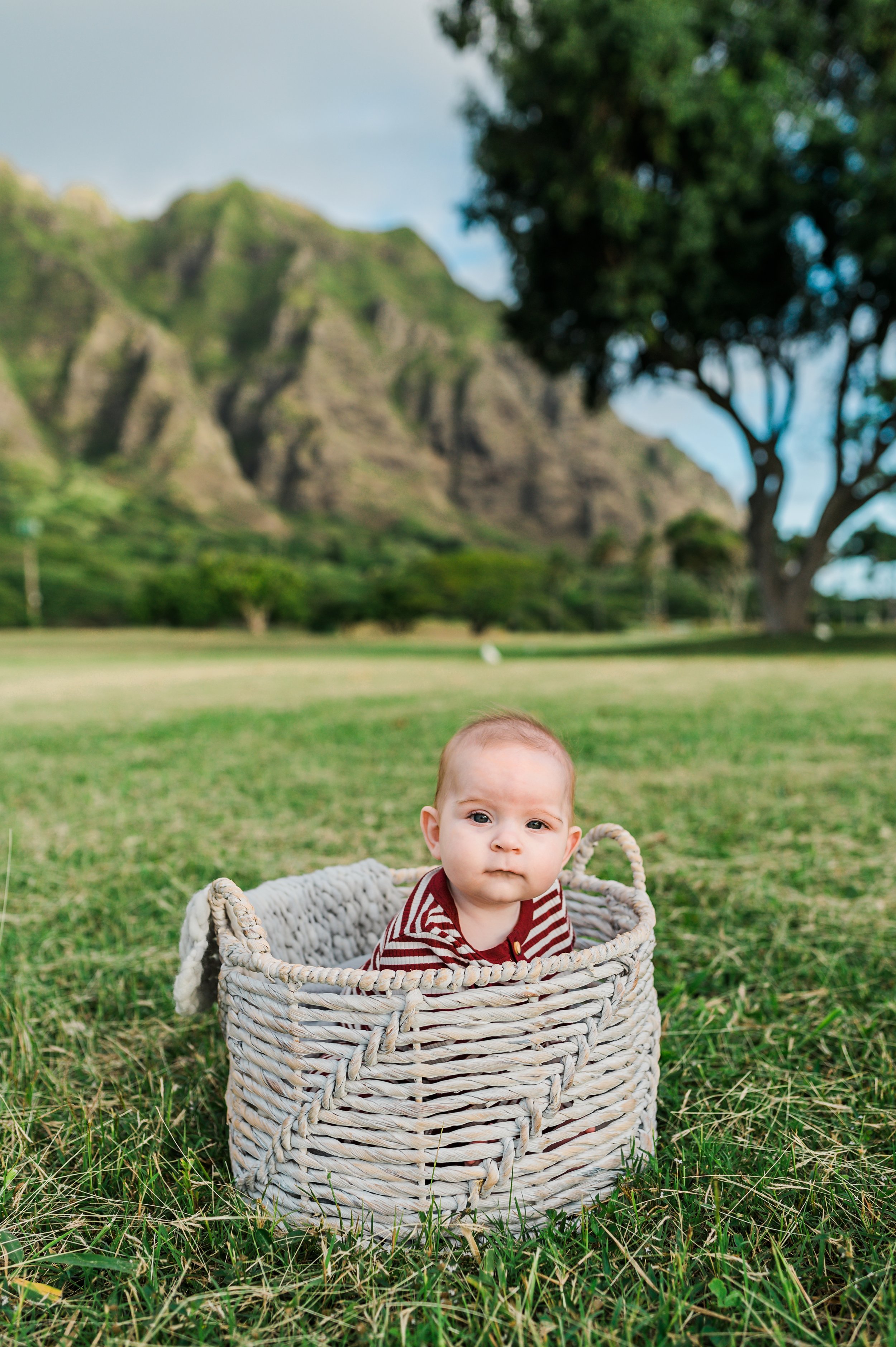 Oahu-Family-Photographer-Following-Seas-Photography-5218 copy.jpg
