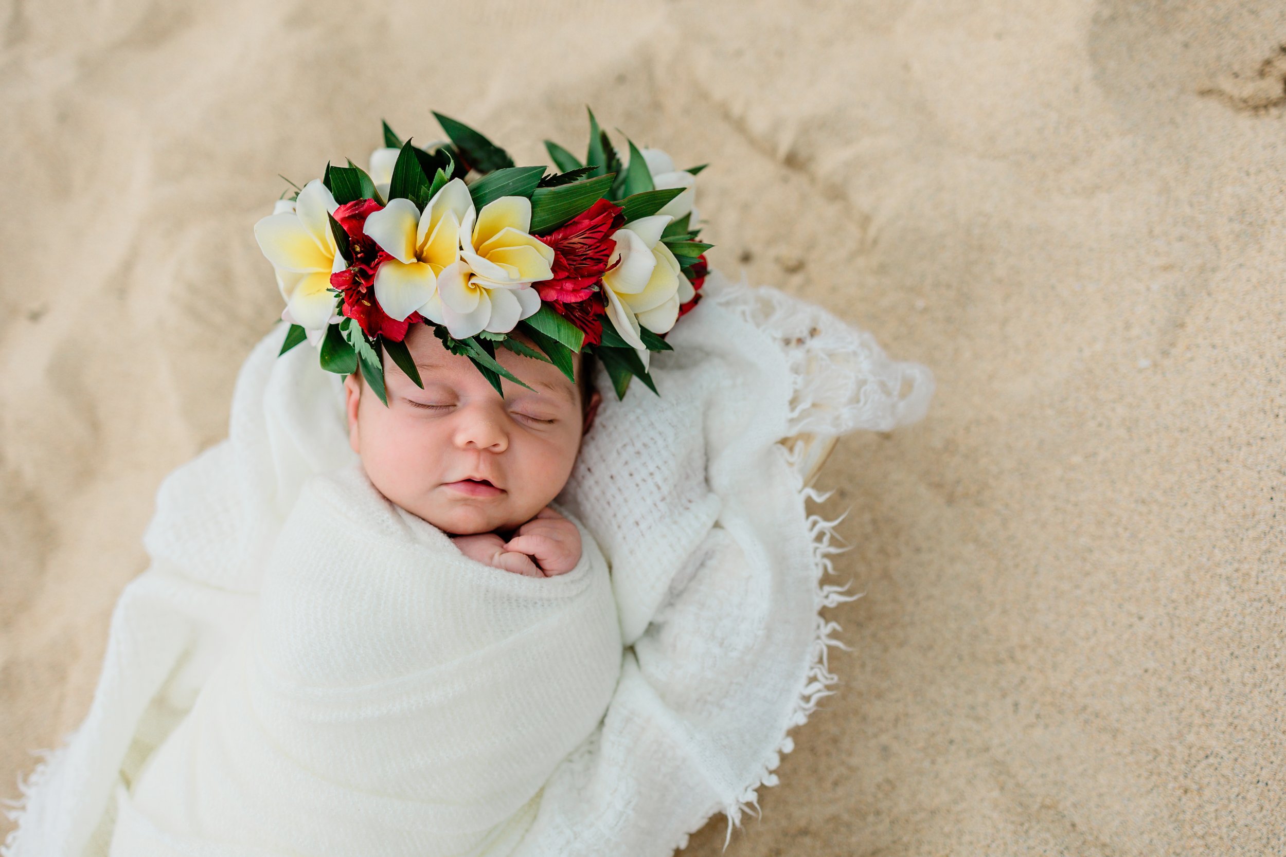 Oahu-Newborn-Photographer-Following-Seas-Photography-3914 copy.jpg