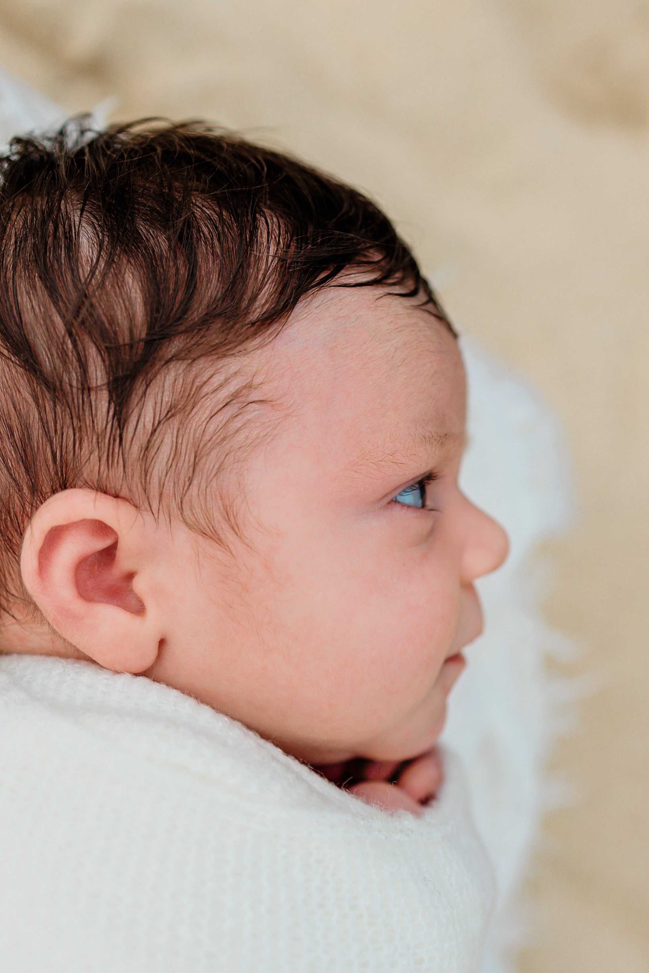 Oahu-Newborn-Photographer-Following-Seas-Photography-3956 copy.jpg