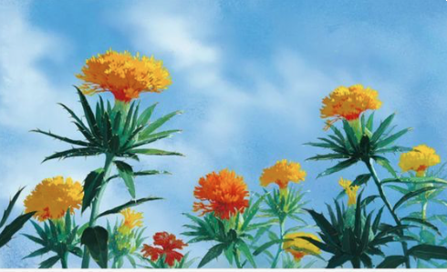 Flowers in Japanese animations