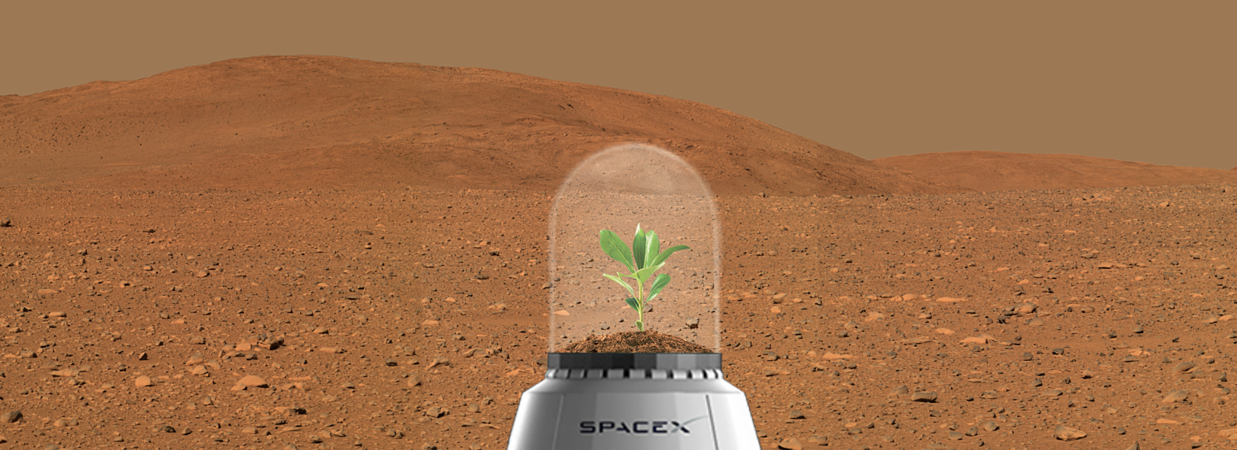In 2001, Elon Musk conceptualized Mars Oasis, a project to land a miniature experimental greenhouse and grow plants on Mars