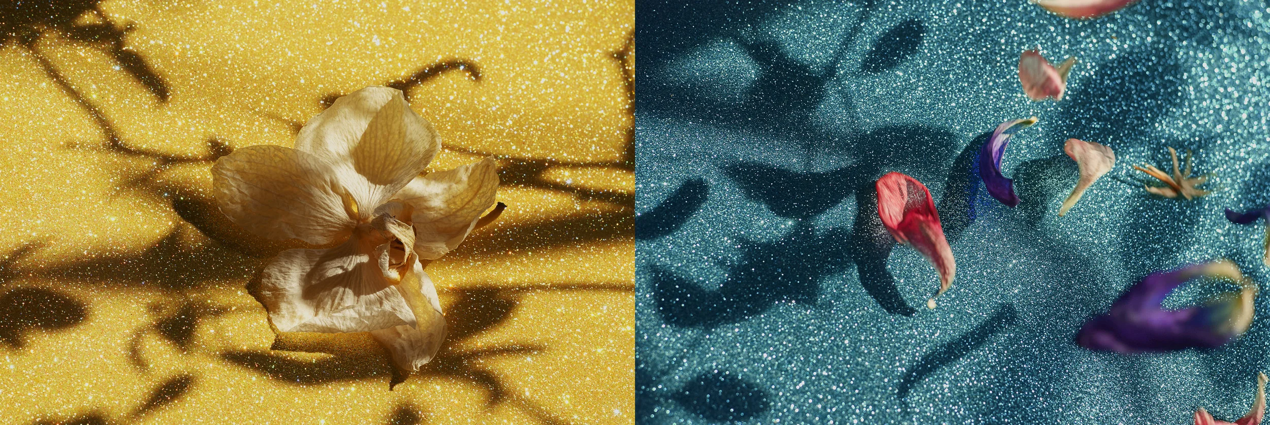 Season changes — Diptych yellow turquoise. 2019. Archival pigment print